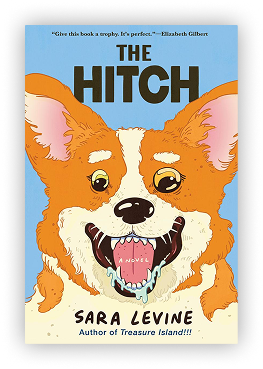 The Hitch by Sara Levine, picked by bookseller Cara