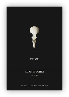 "Pluck" by Adam Hughes (Copy)
