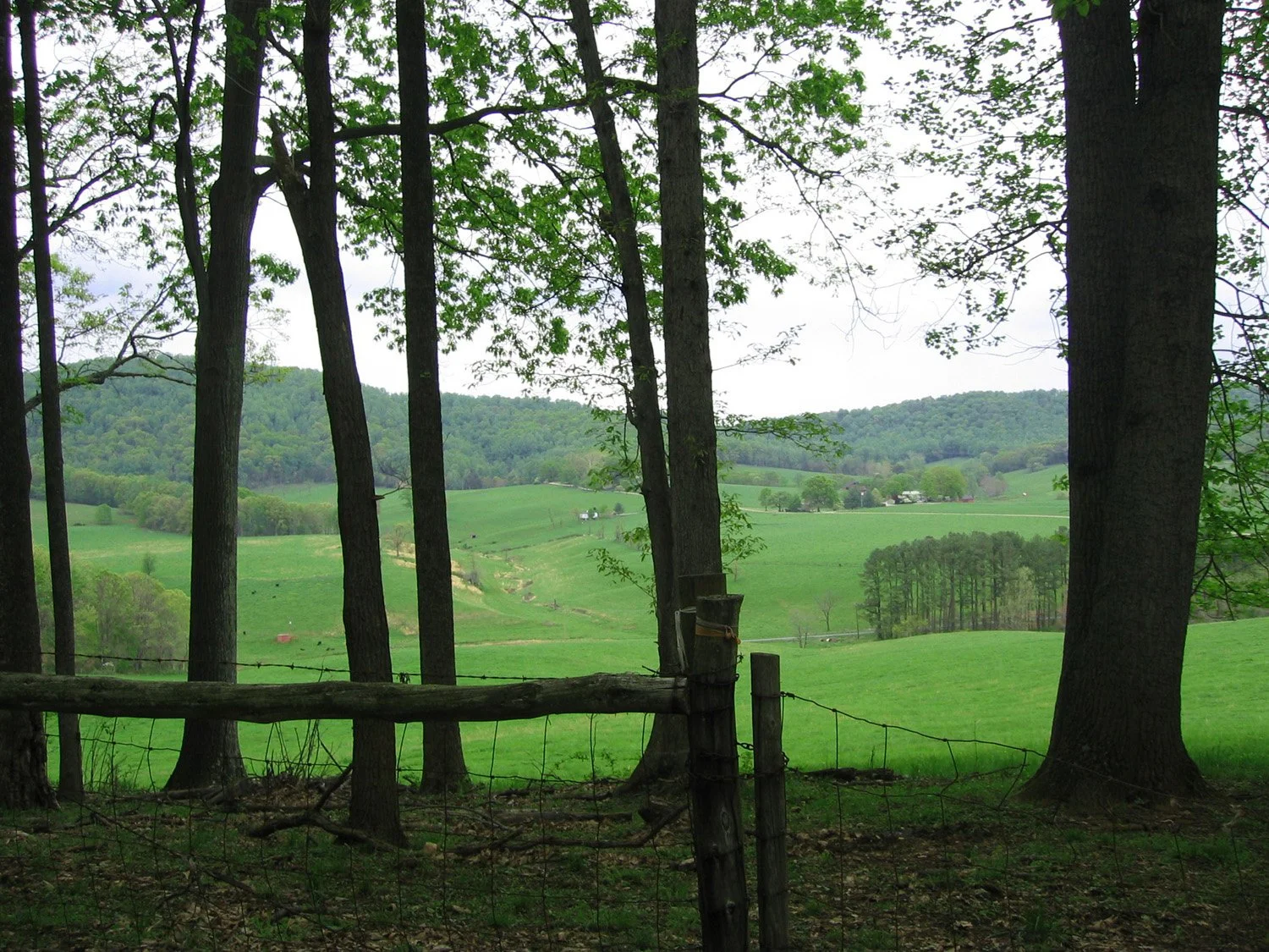 Bundoran Farm, Albemarle County, Virginia (with McKee Carson)