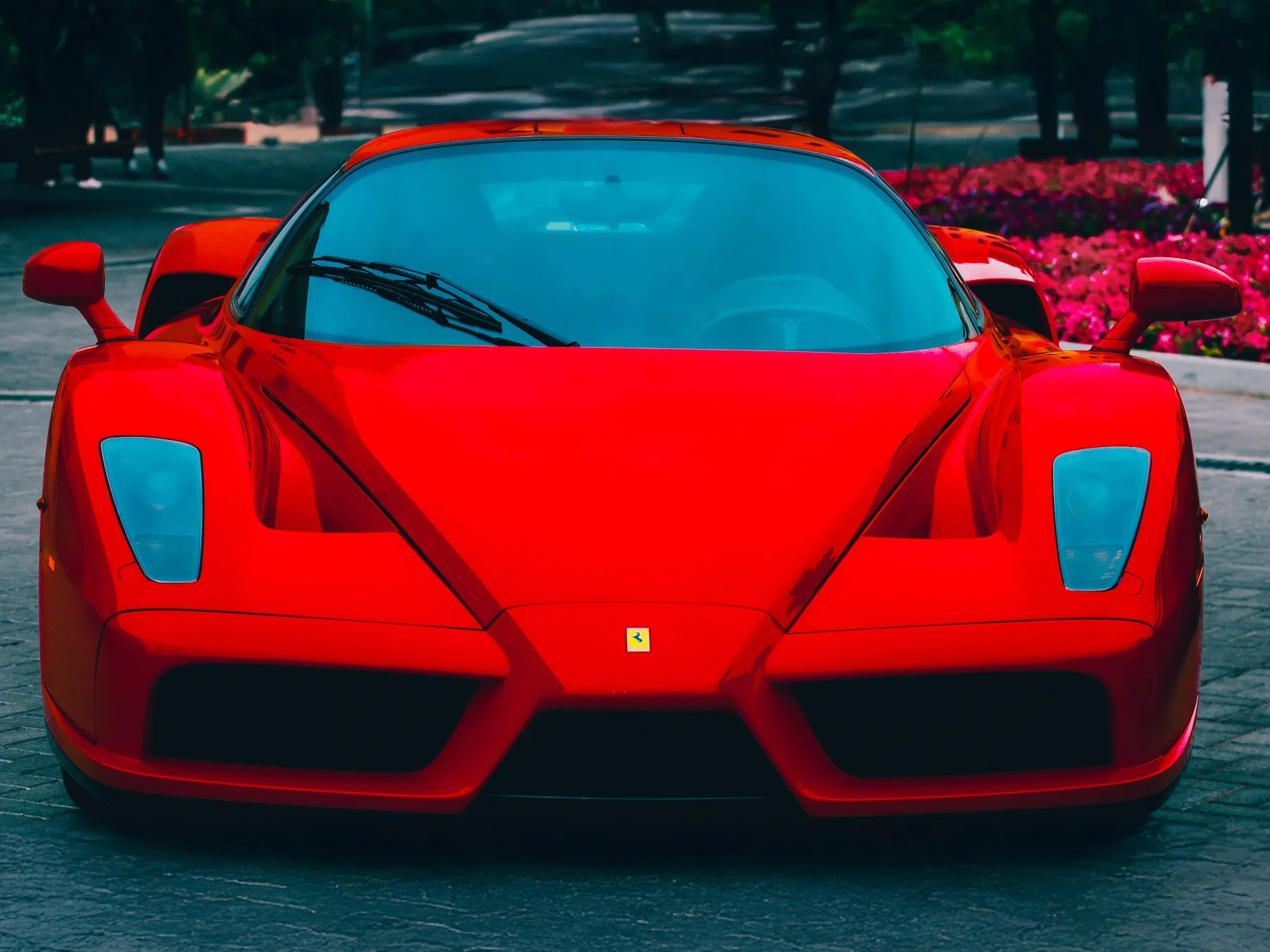 Red Ferrari sports car parked on a street with flower beds in the background.