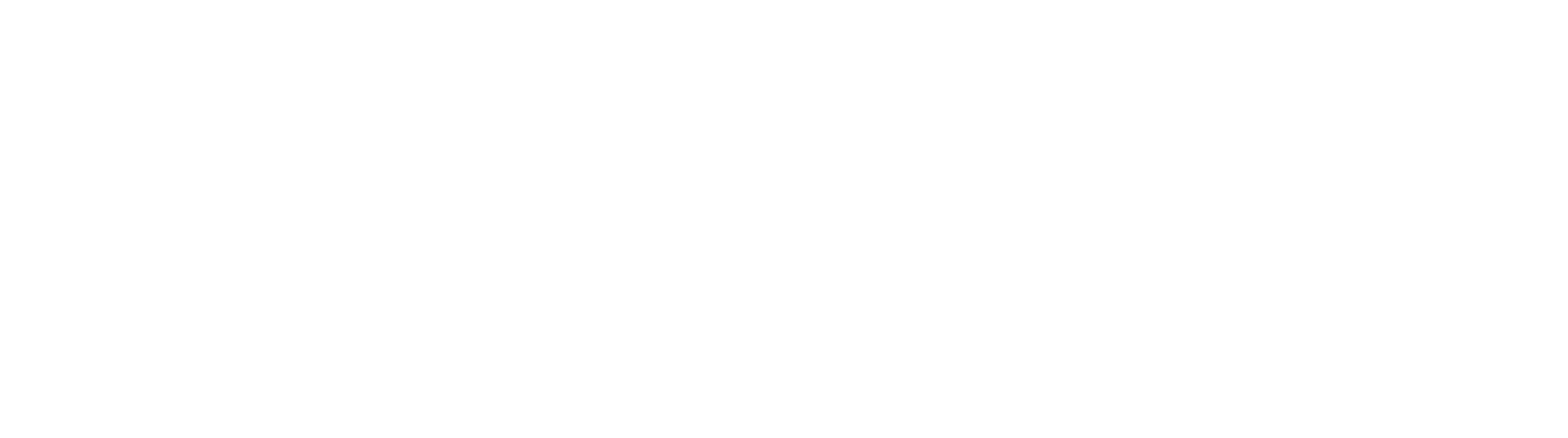 Brooklyn Giro Bike Tours