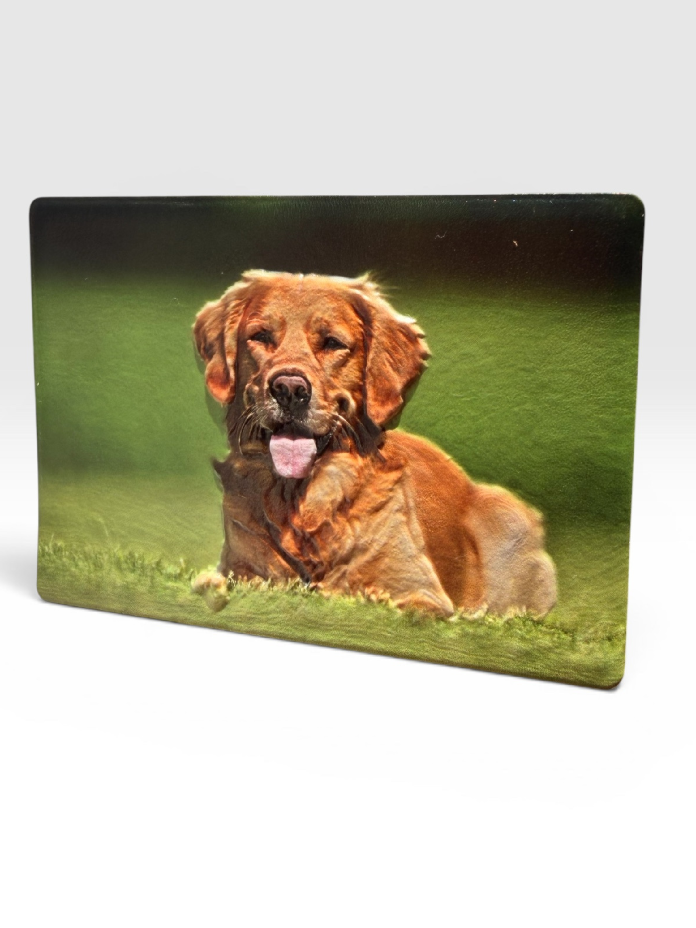 Dog+Grass+Magnet.png