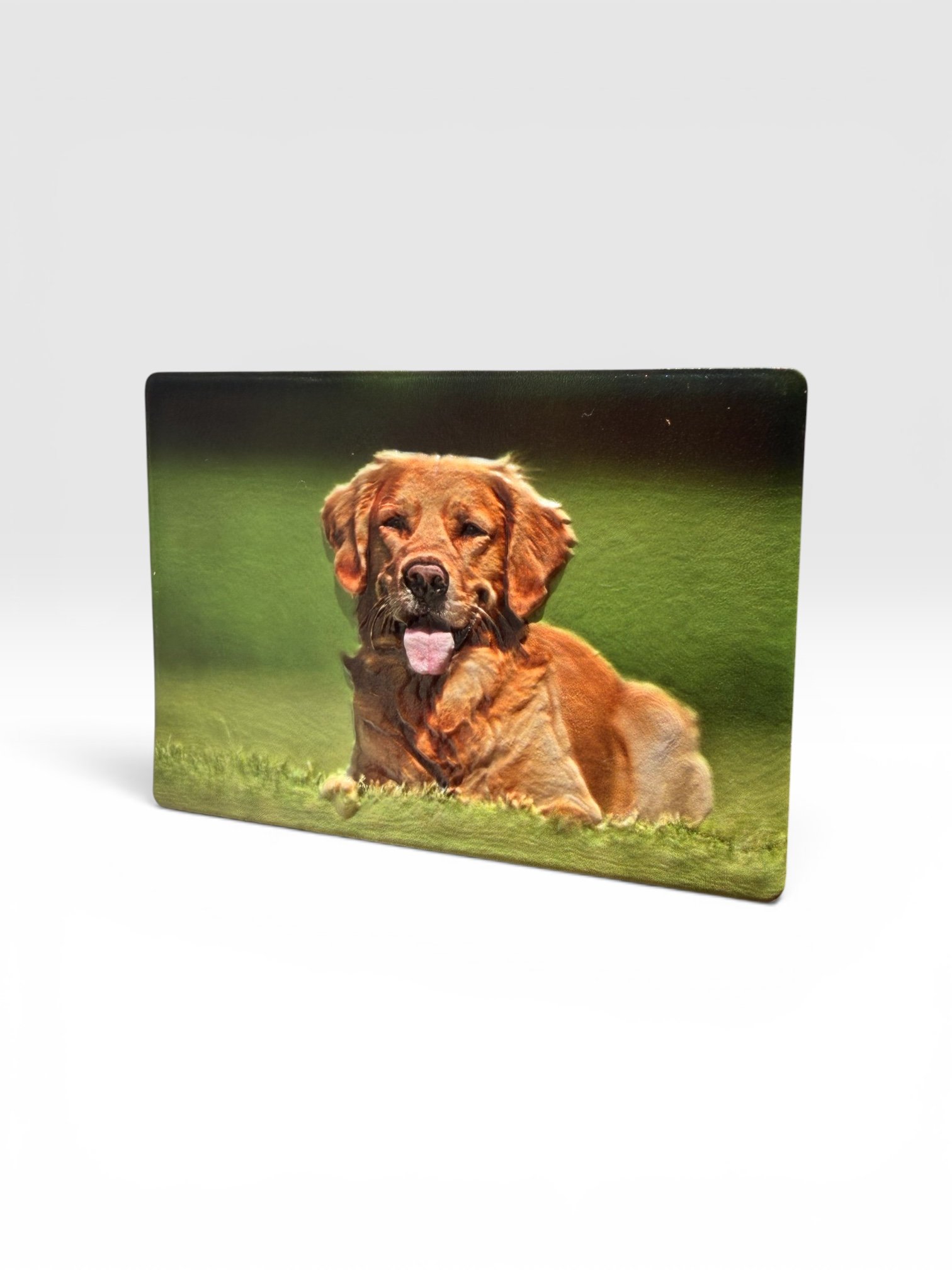 3D Texture Full Colour Printed Photo Magnet — Personalized