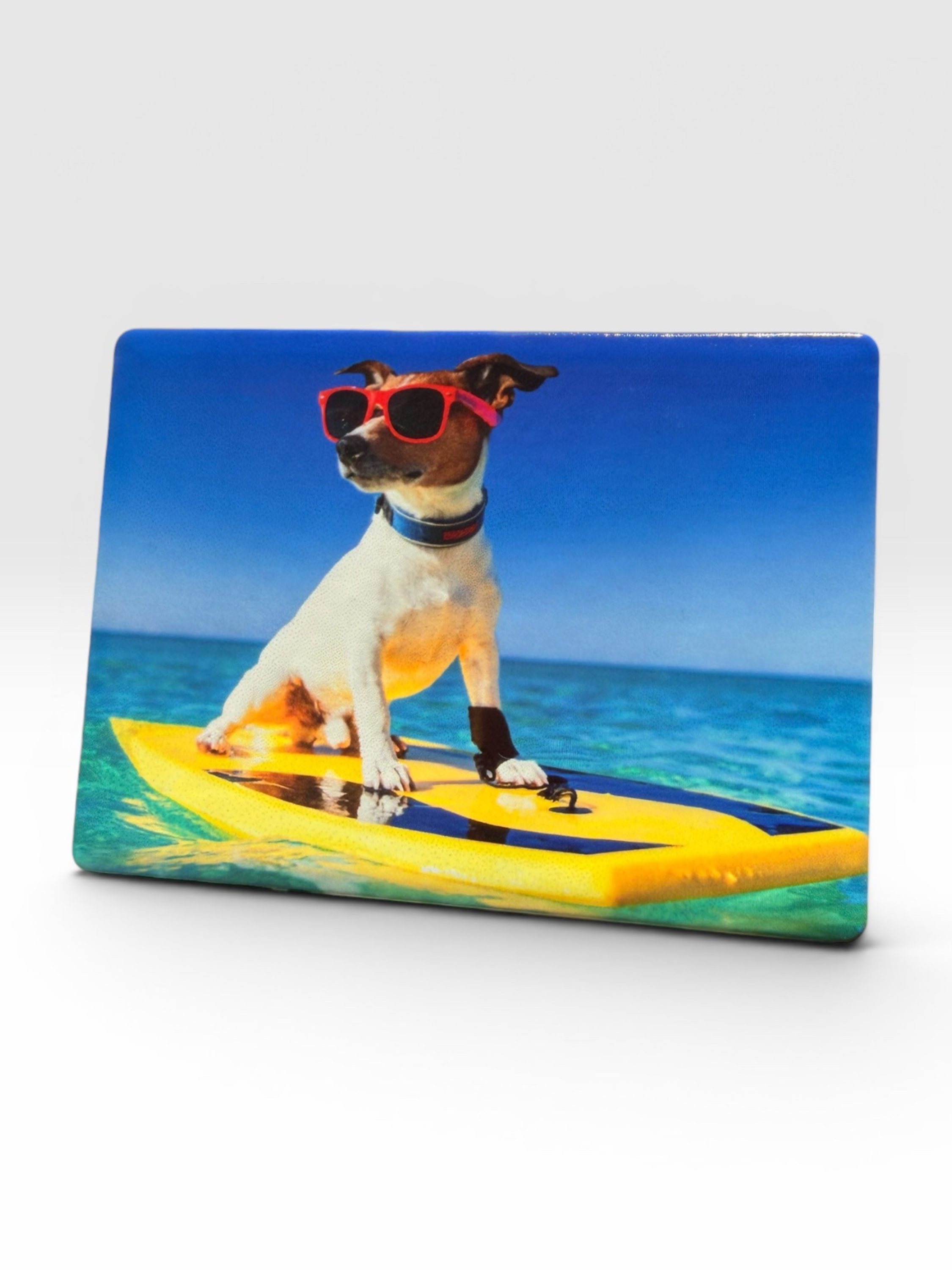 Surfboard+magnet.png