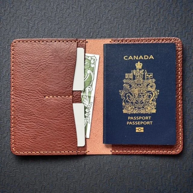 Premium leather passport wallet with multiple pockets for passport, cards, and travel documents.