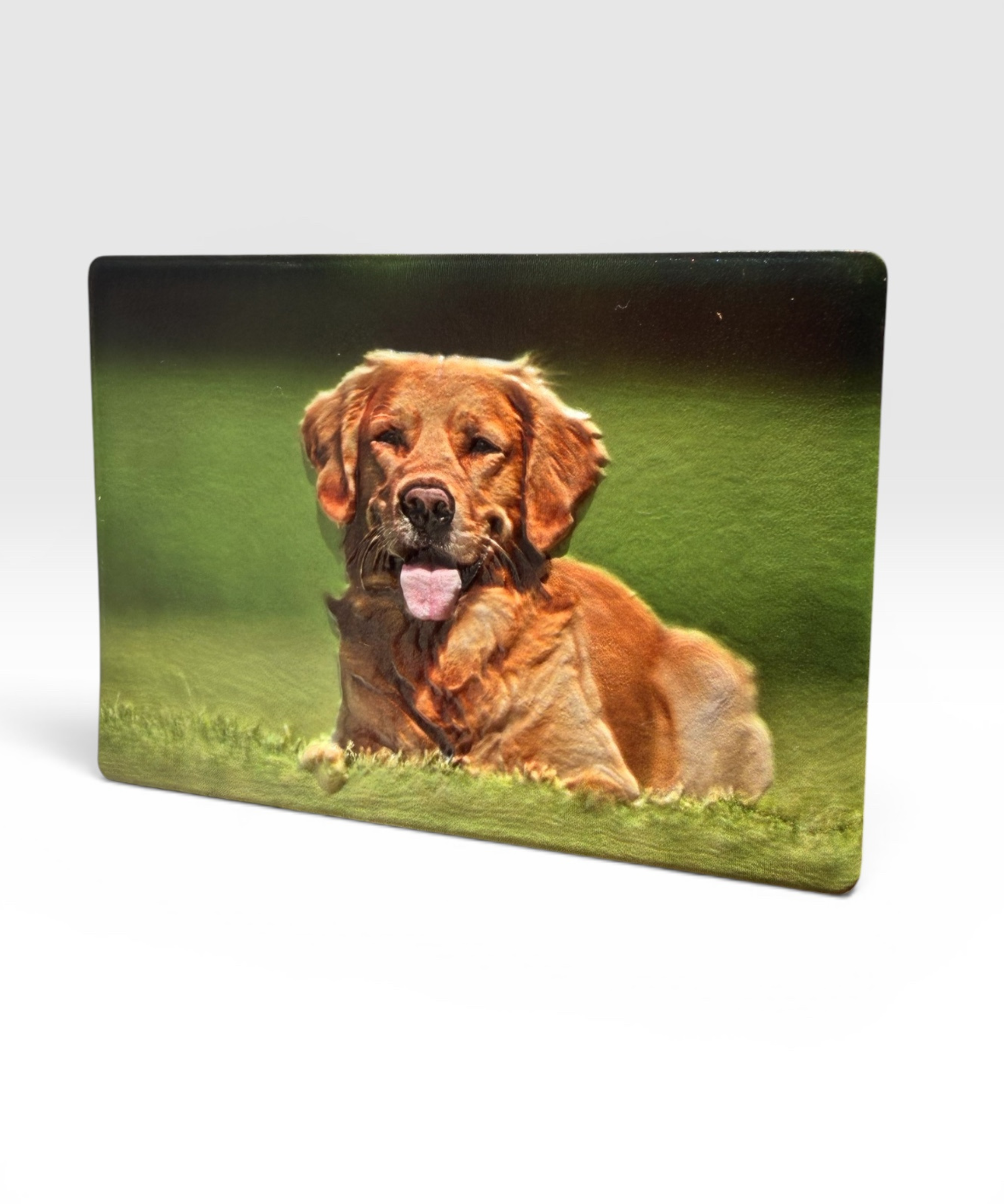 3D Texture Full Colour Printed Photo Magnet — Personalized
