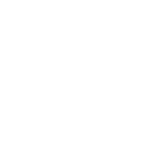 Brand Identity icon