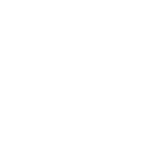 Brand Guidelines Icon