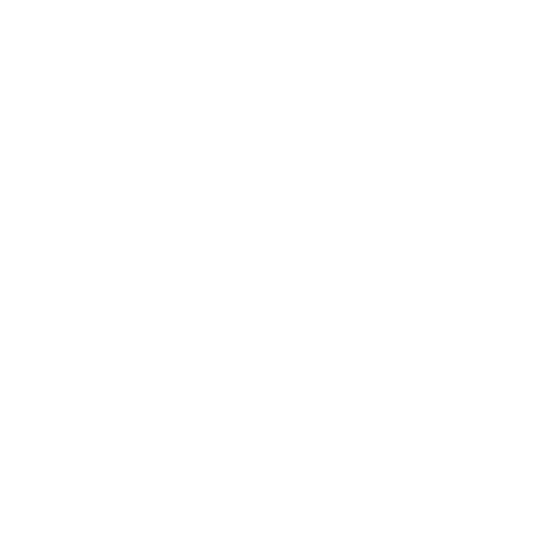 Color Palette and Typography icon