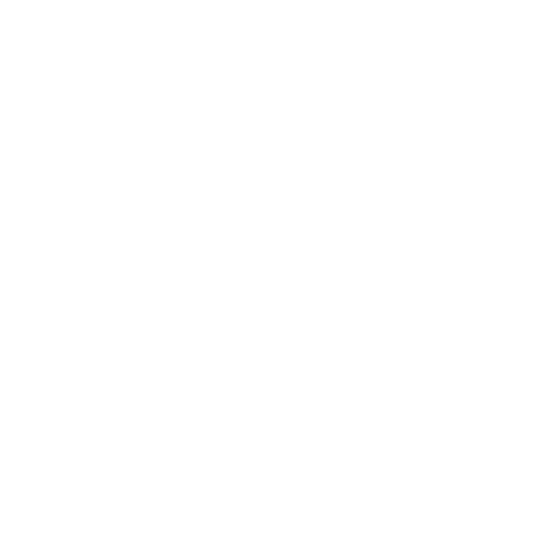Visual Brand Kit icon