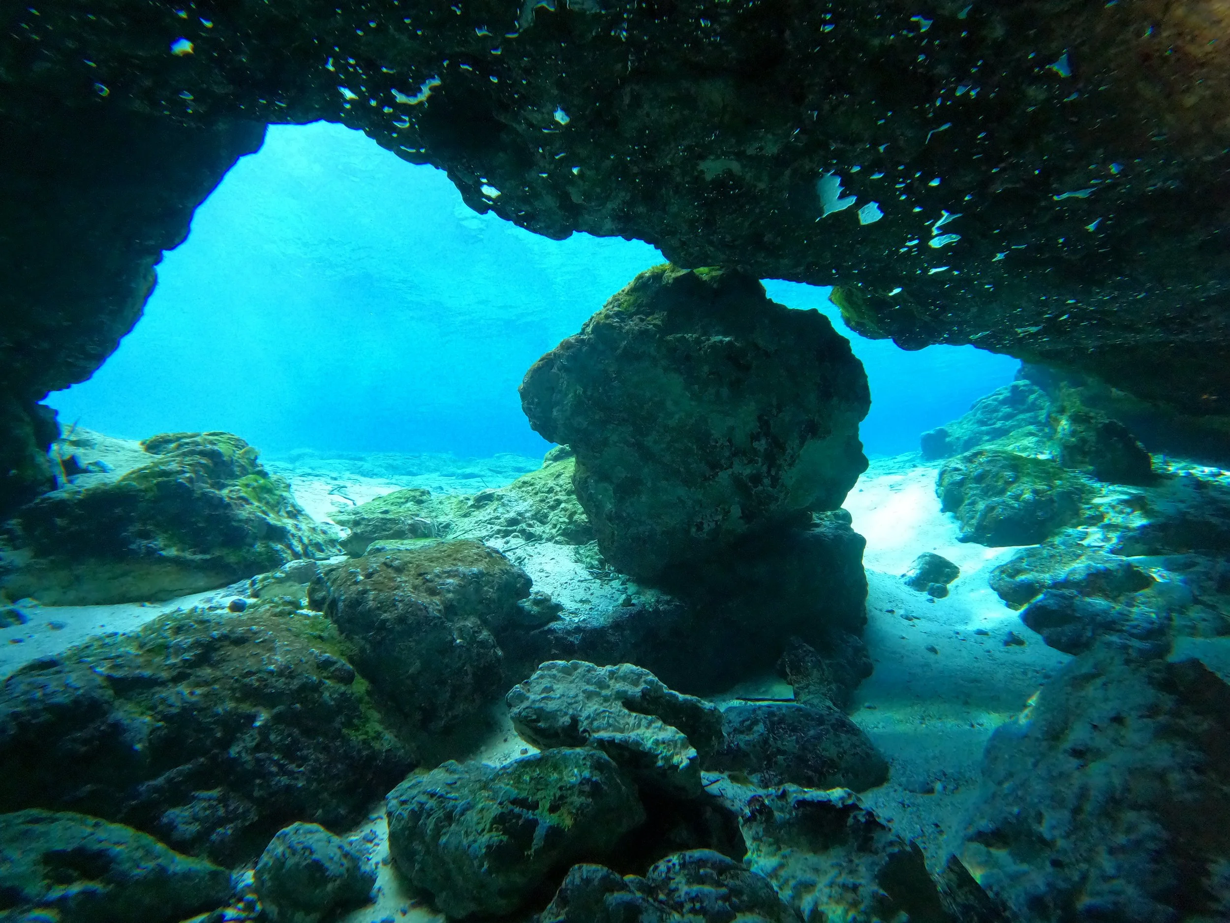 Magic Winter Trip: Ginnie Springs!