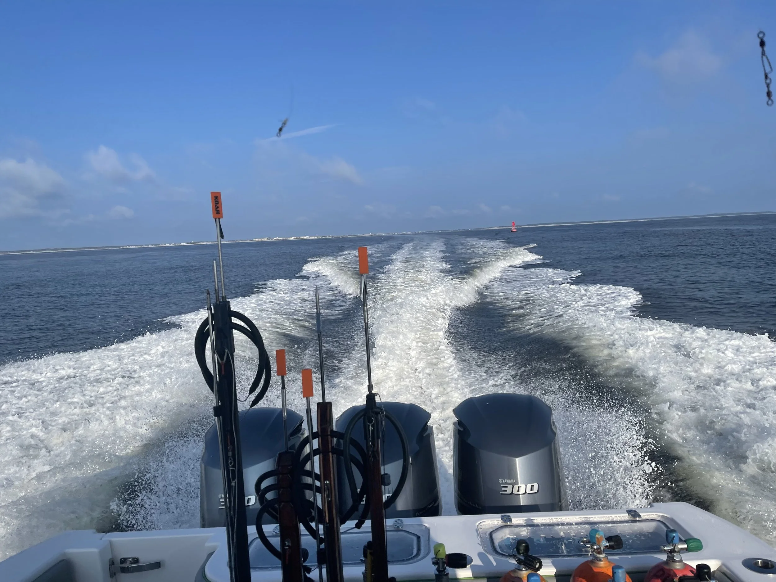 Diving offshore Jacksonville, FL
