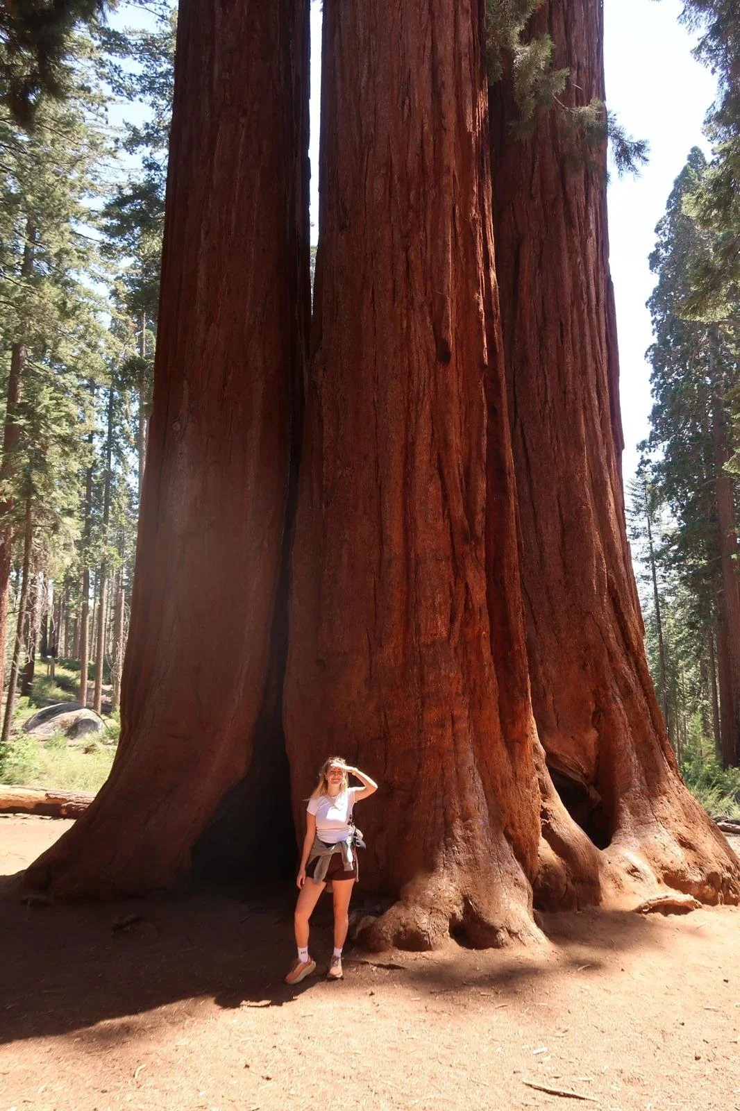 WhatsApp Image 2025-12-11 at 14.48.19 (15).jpeg