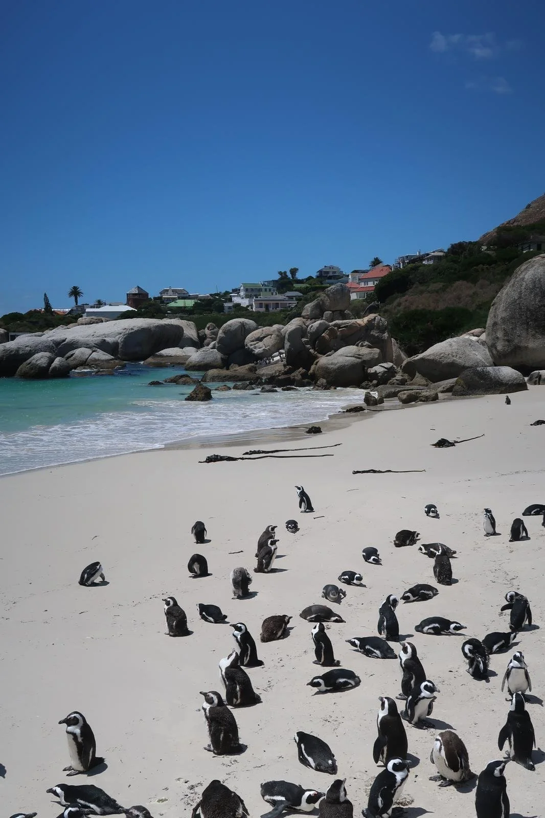 WhatsApp Image 2025-12-11 at 14.48.19 (10).jpeg