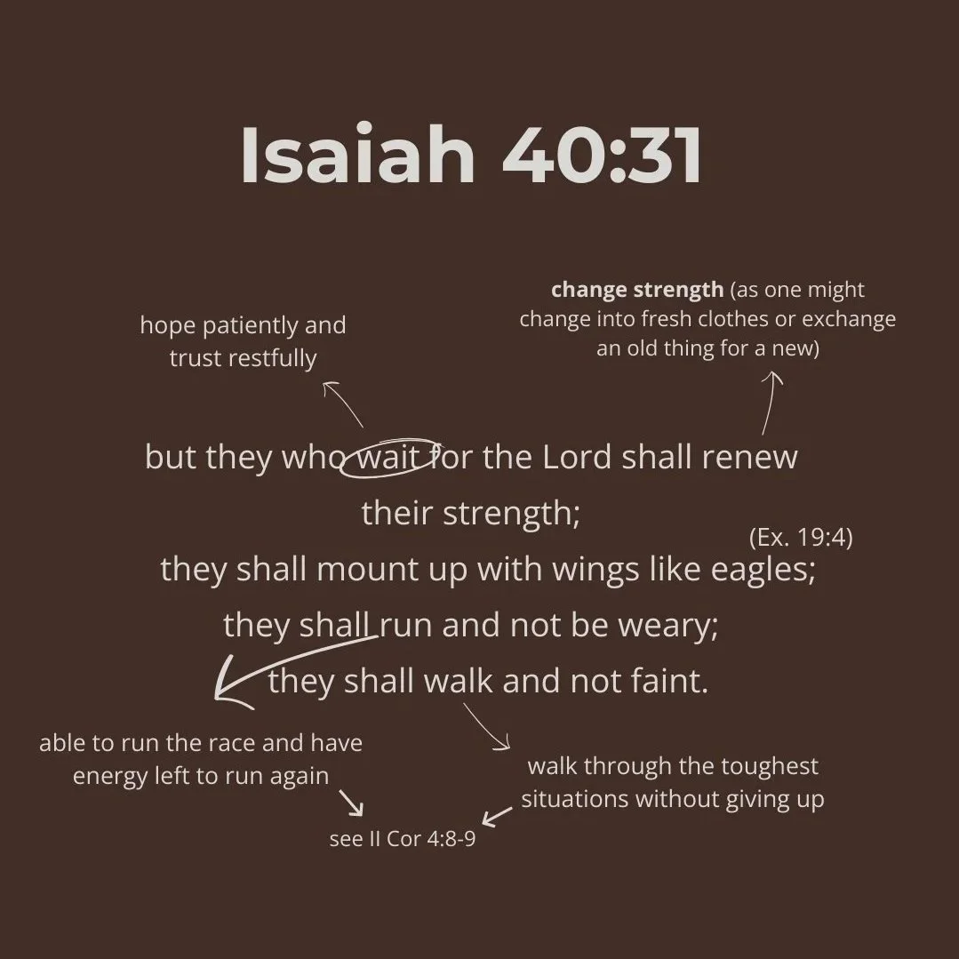 Those Who Hope in the Lord: Strength for the Weary Heart (Isaiah 40:31)