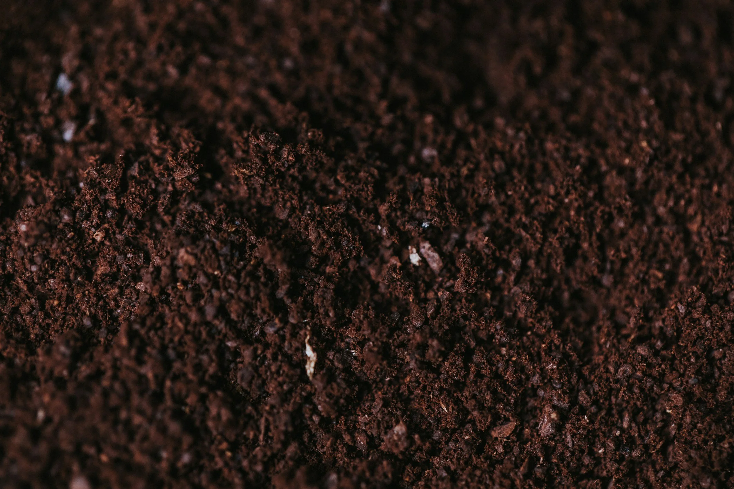 Soil