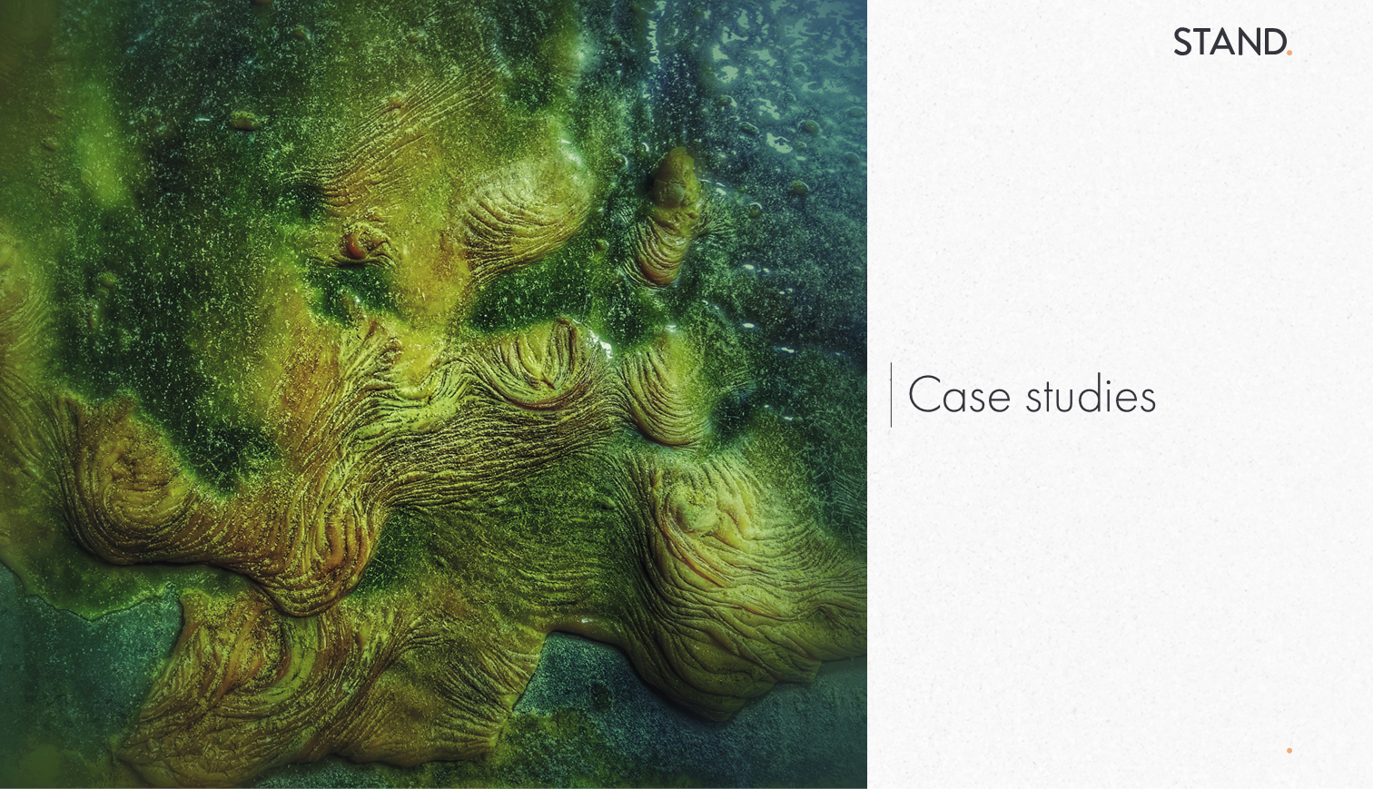 Slide118.PNG