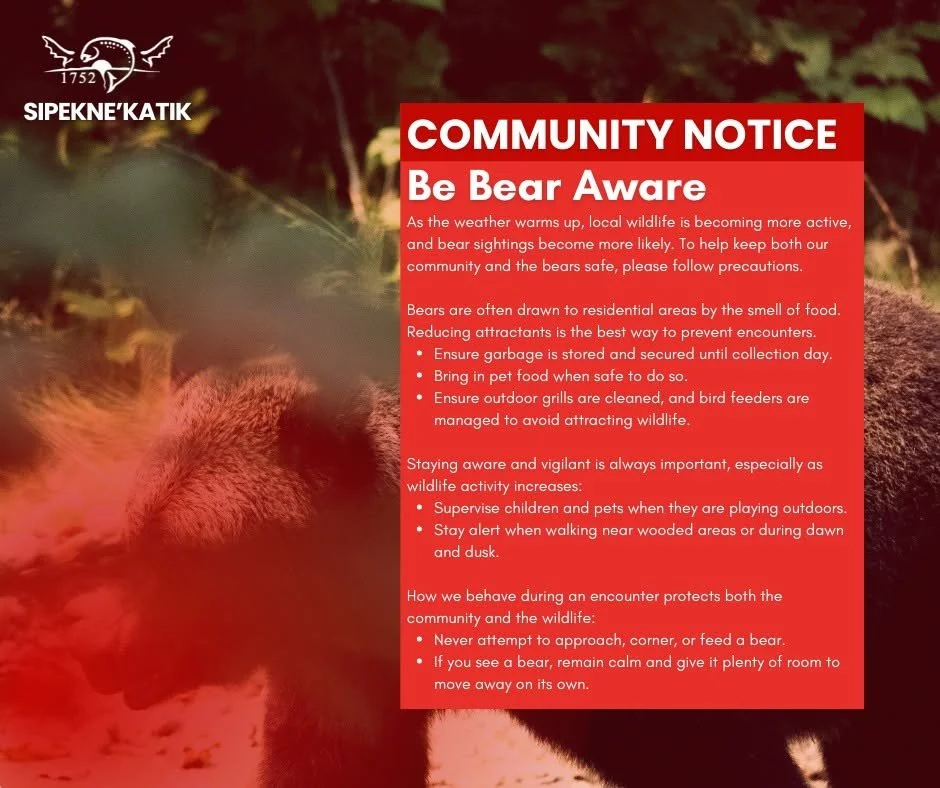 Be Bear Aware, Sipekne’katik!