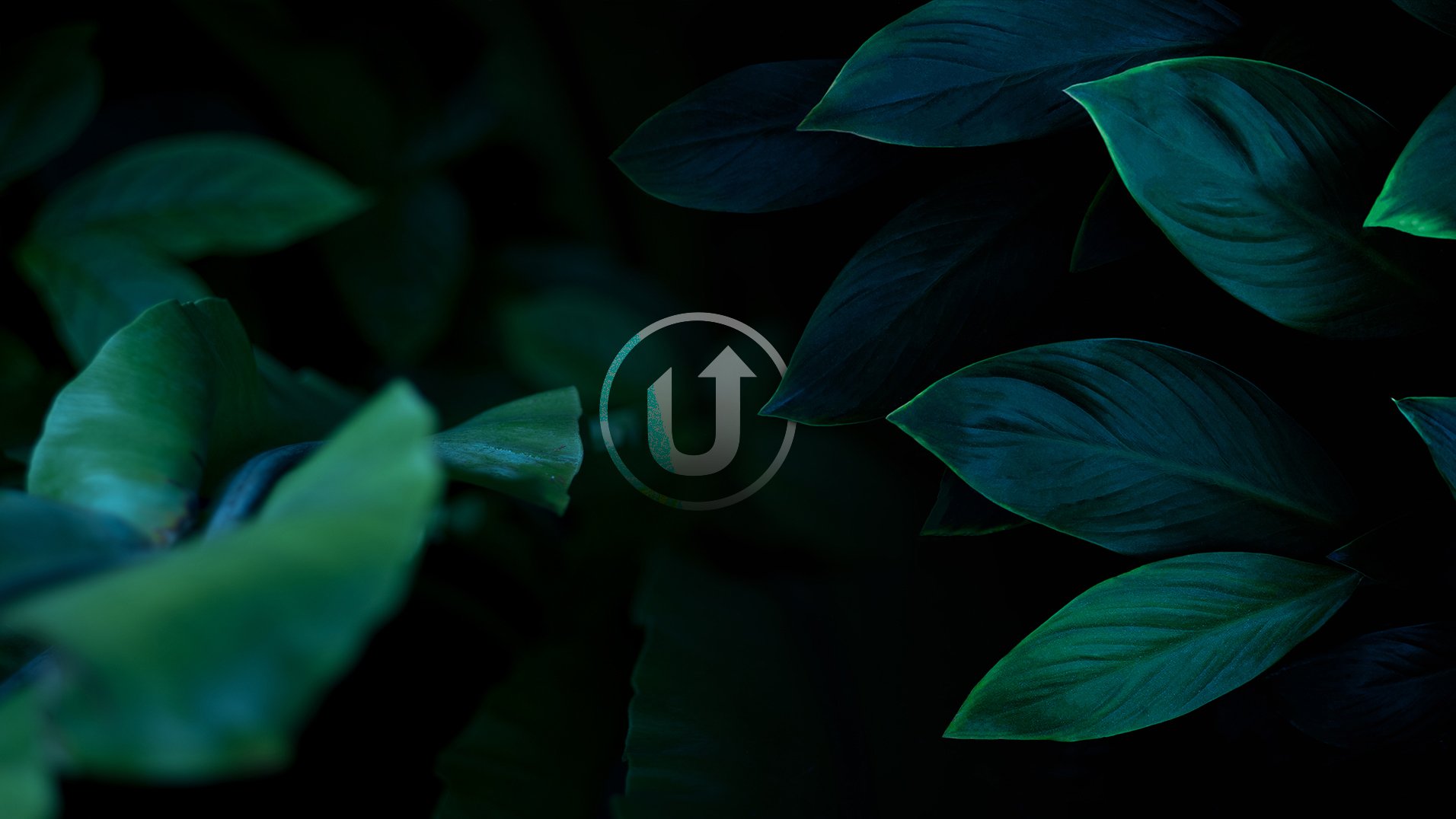 UTURN-SCREEN-2.jpg