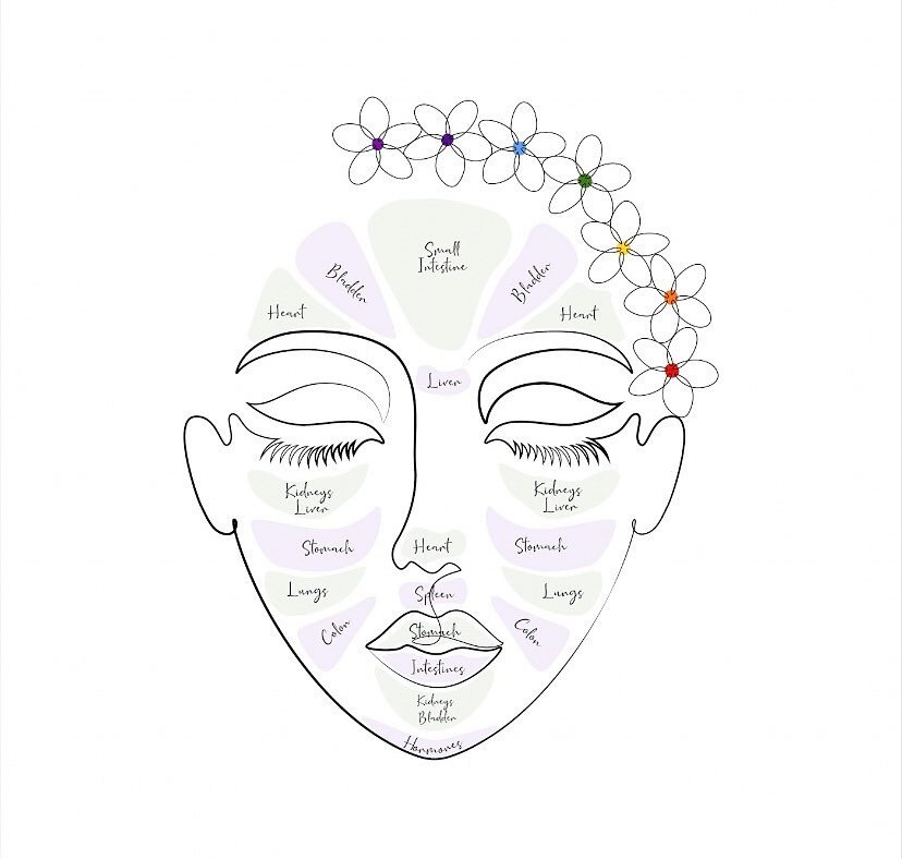 🌸Chinese Face Mapping is a 3,000 year old practice. It views the face as a map with each section connecting to a different organ. When there&rsquo;s a bodily imbalance, the skin will reflect that. 

🌸See You in Session come Spring 2022 where we wil