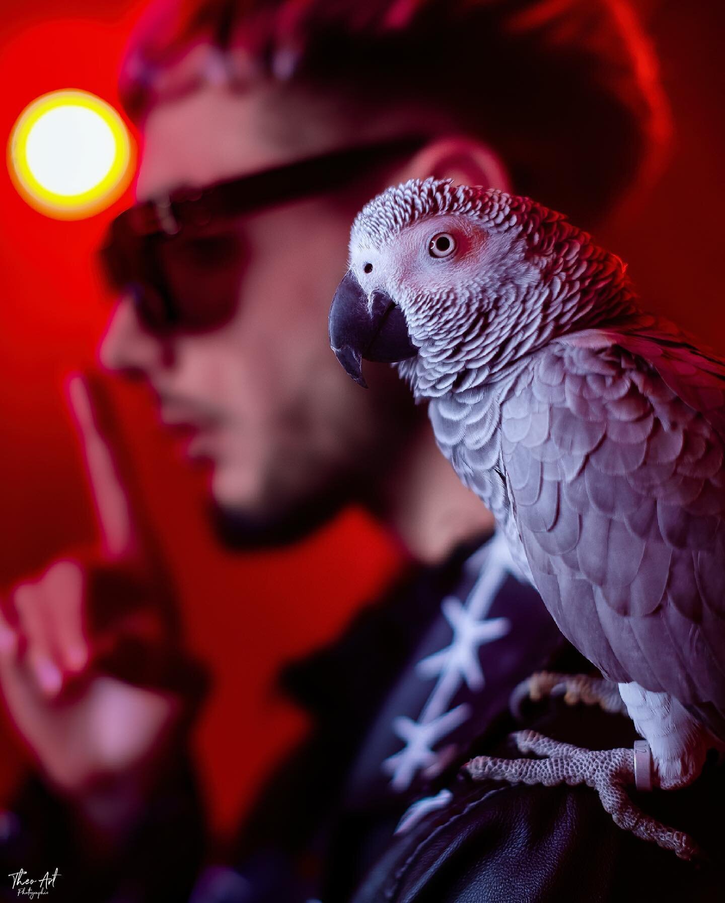 &diams;️P A R R O T&diams;️

Un shooting avec un animal tropical &ccedil;a te tente ?! 🦜
Profite-en avant qu&rsquo;il ne change d&rsquo;avis ! 

Plus d&rsquo;infos en DM ... 😁