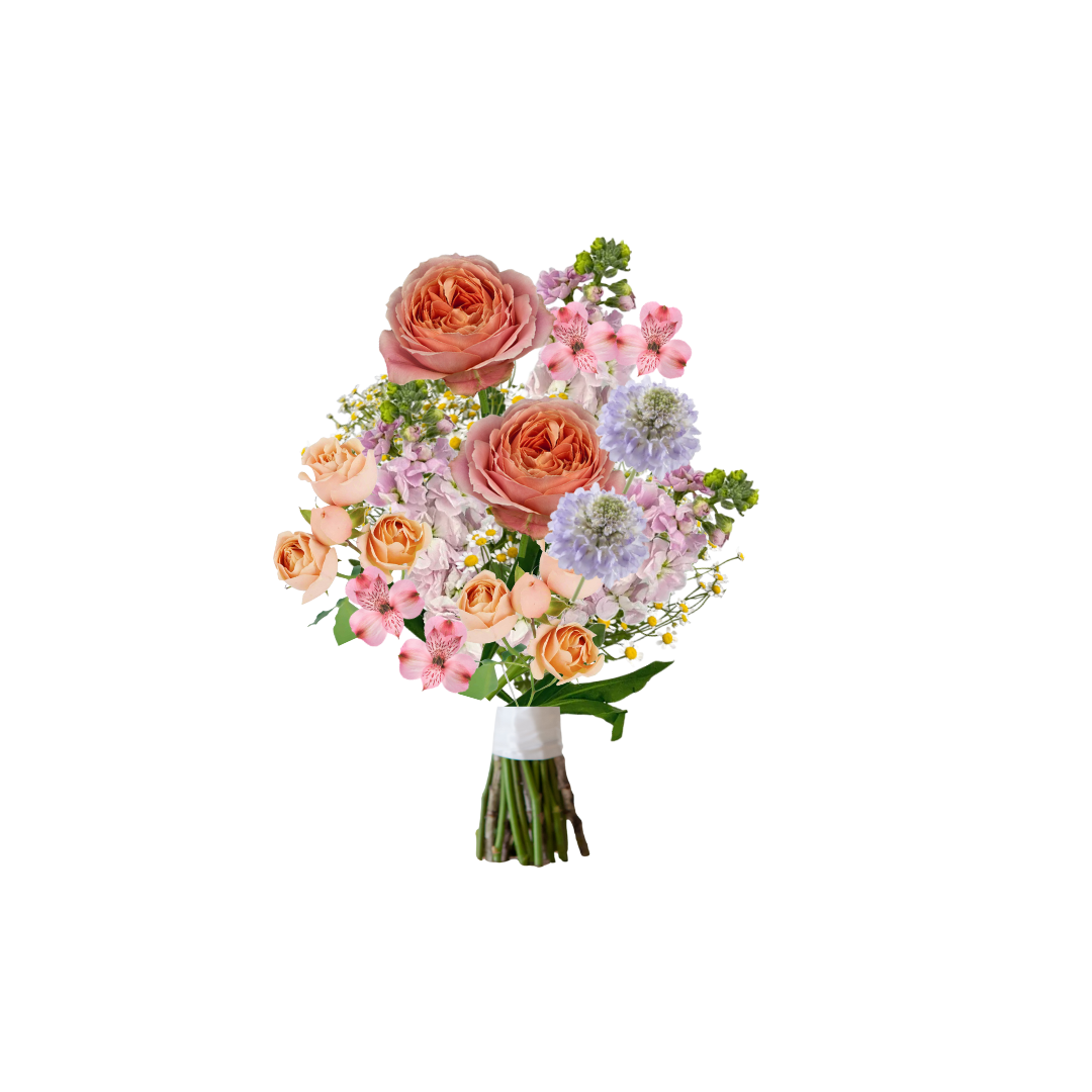 Petite Valentines 2026.png