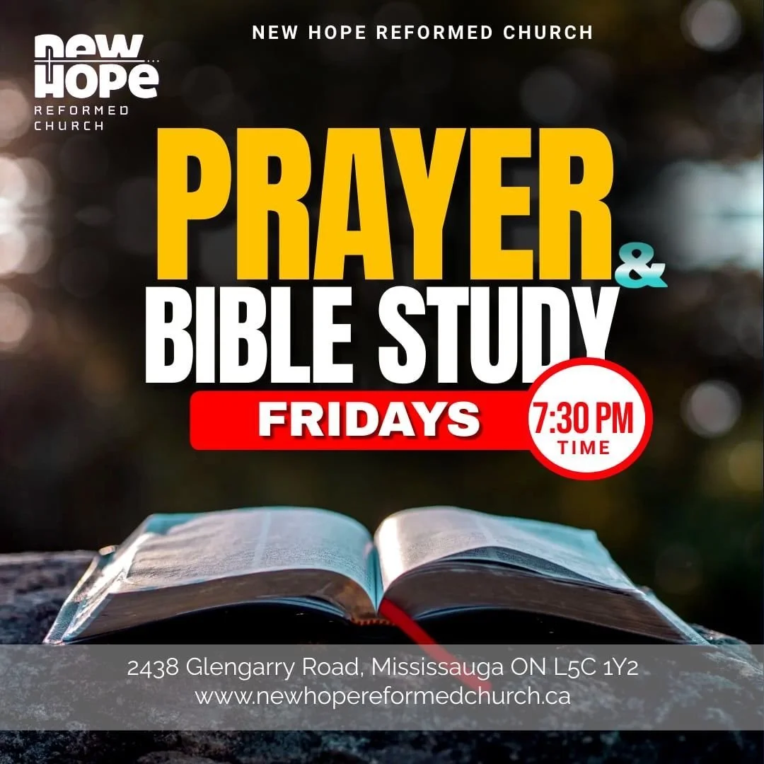 Bible Study with Pizza