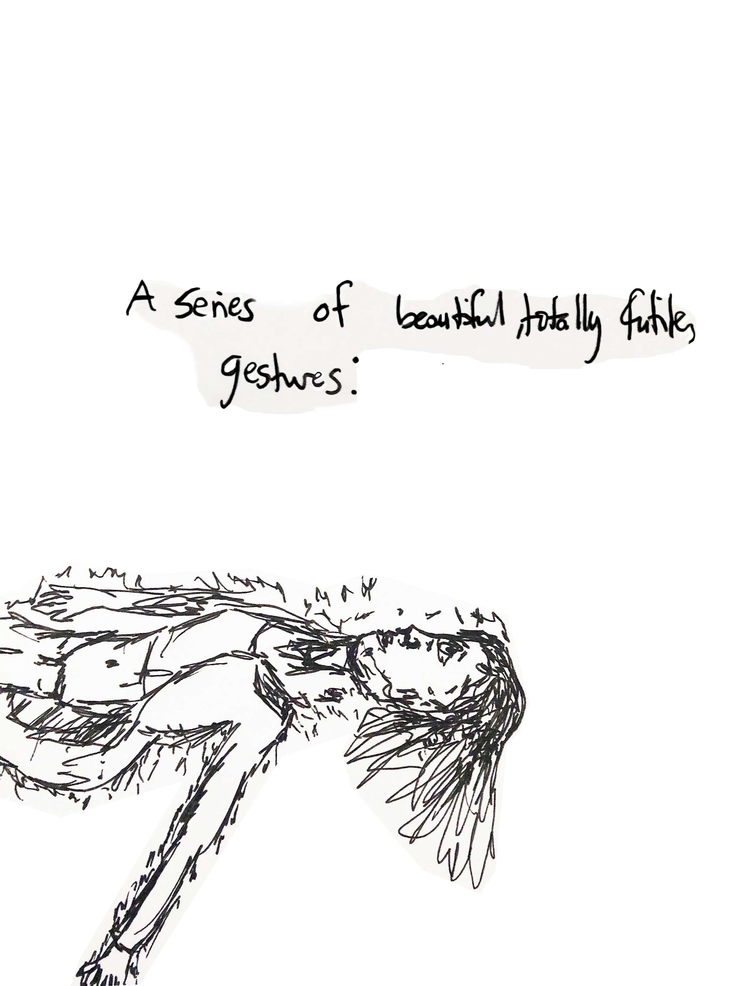 A Series of Beautiful, Totally Futile, Gestures: