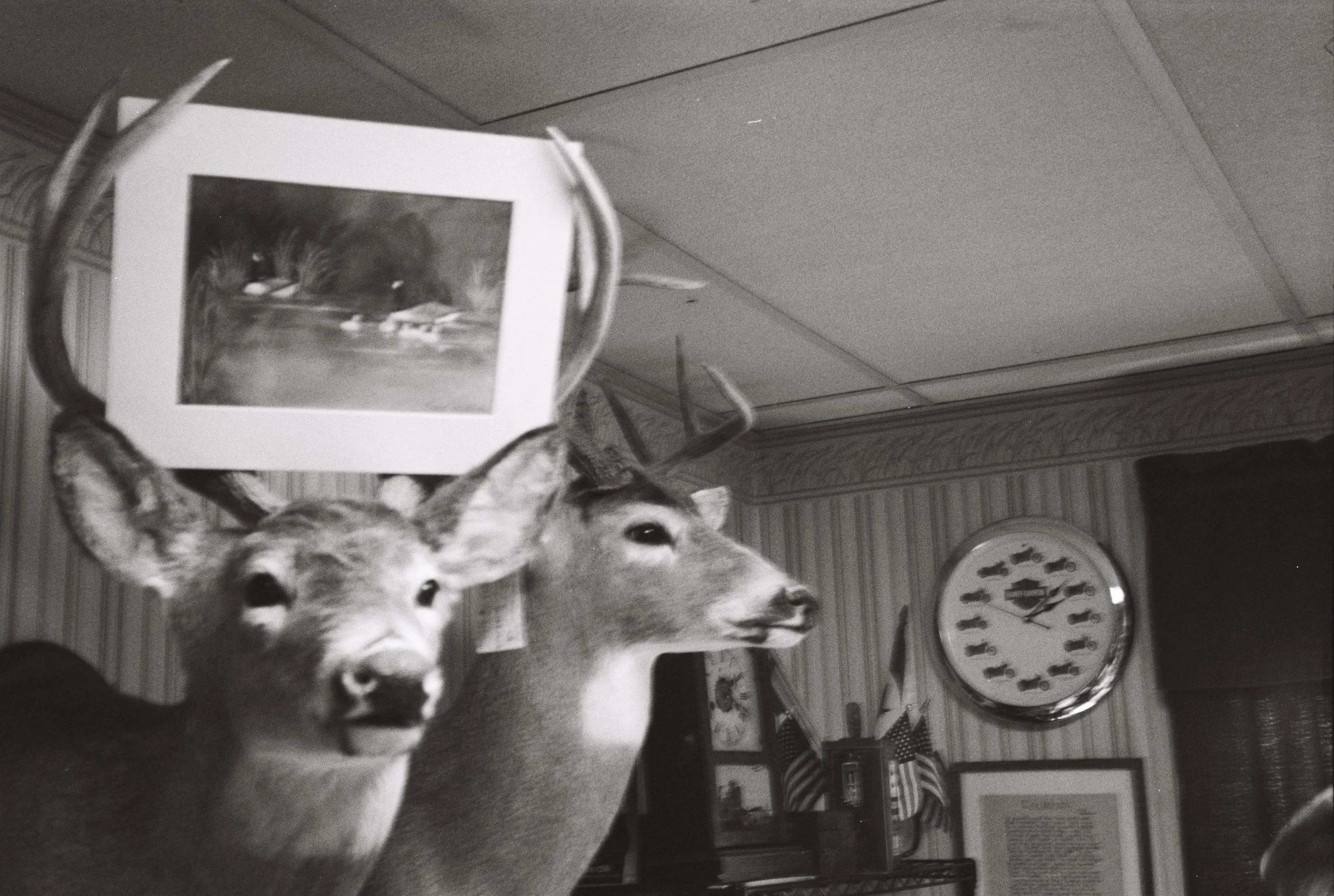 Image 11-7-22 at 10.47 PM (2).jpg