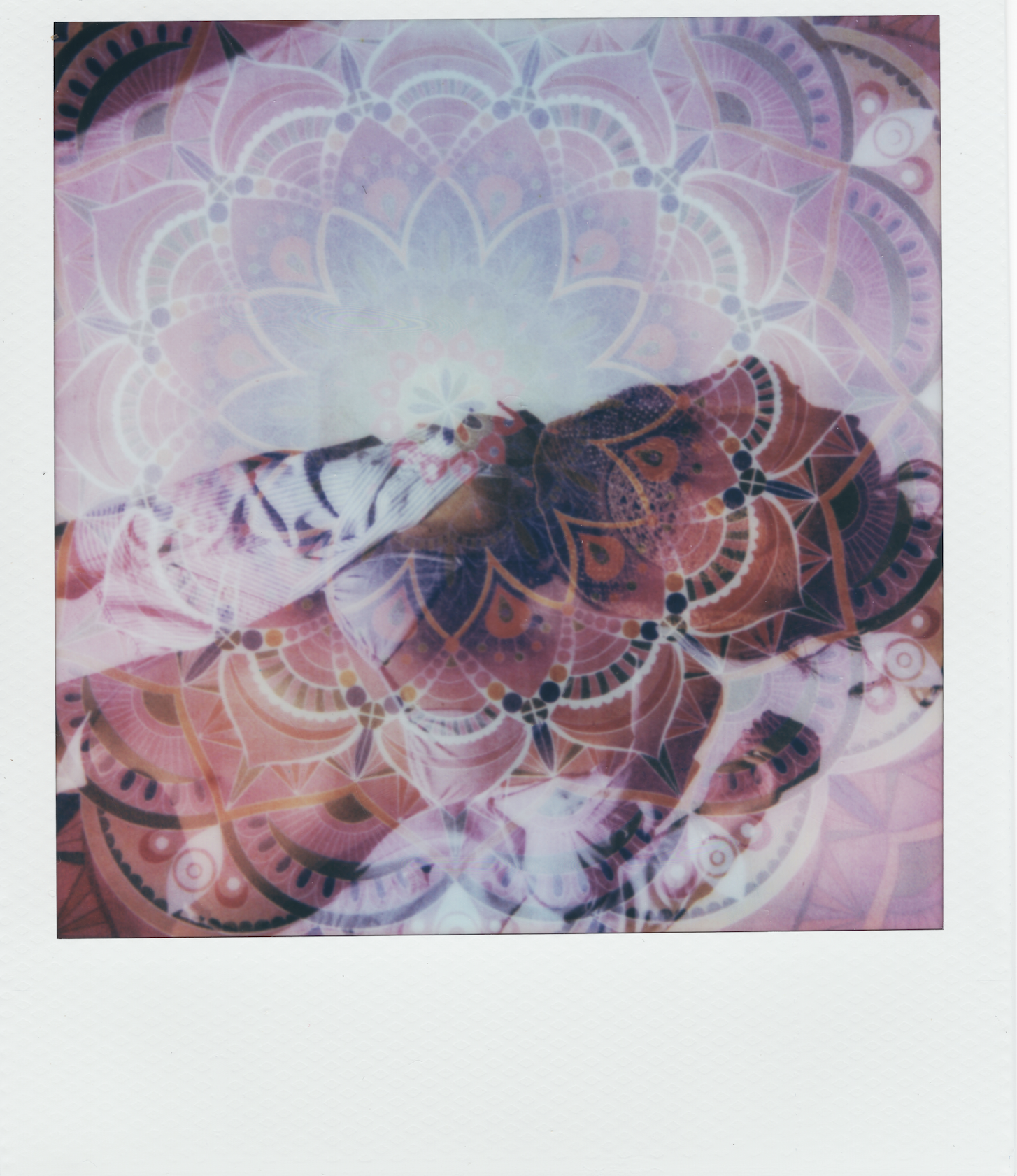 Screen Shot 2026-01-24 at 4.35.21 PM.png