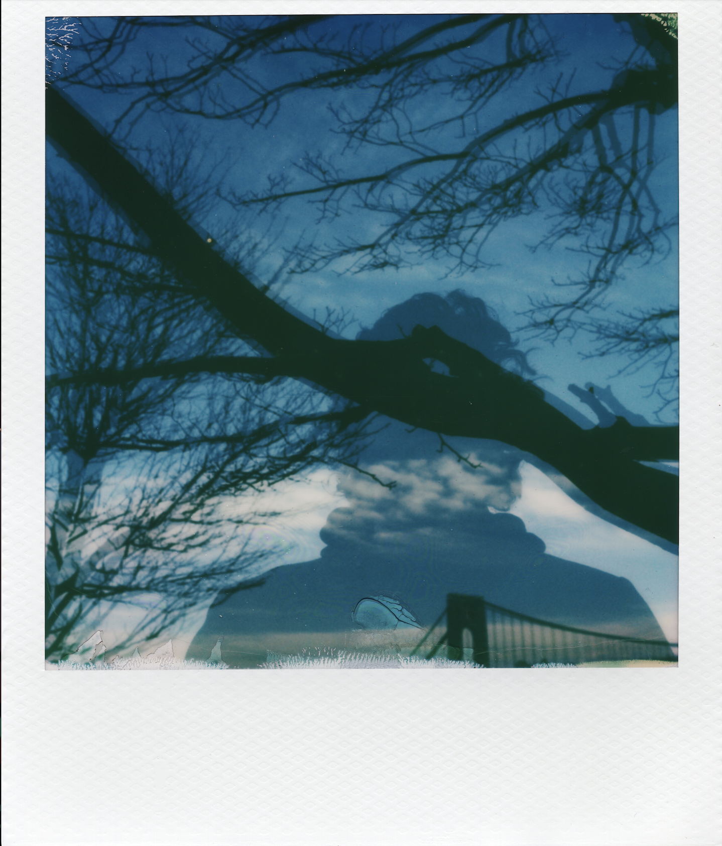 Screen Shot 2026-01-16 at 3.12.57 PM.png