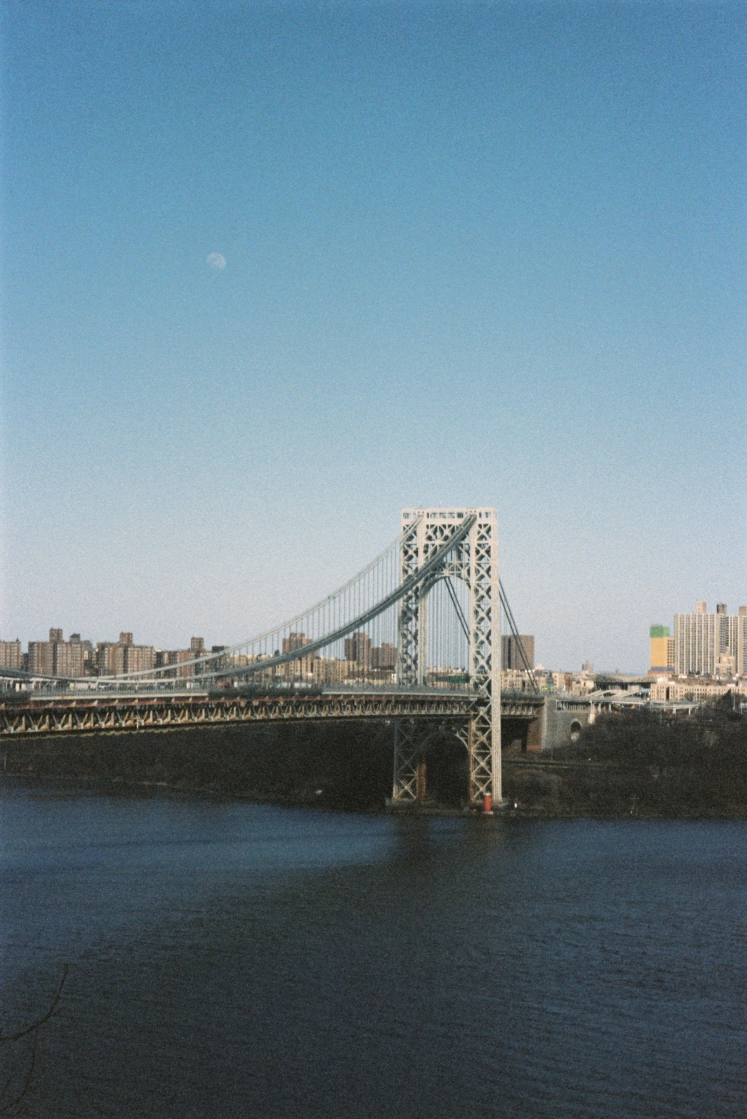 IMG_3448.jpg