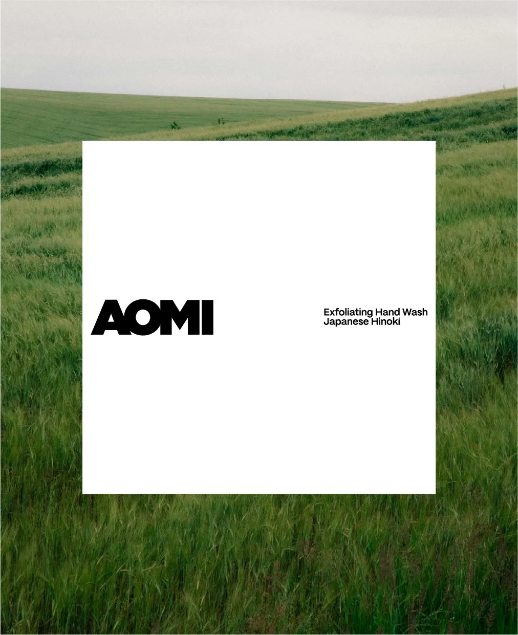Graslandschaft mit grünen Hügeln und einem diffusen Himmel im Hintergrund, überlagert von einem weißen Rechteck mit schwarzem Logo und Text.