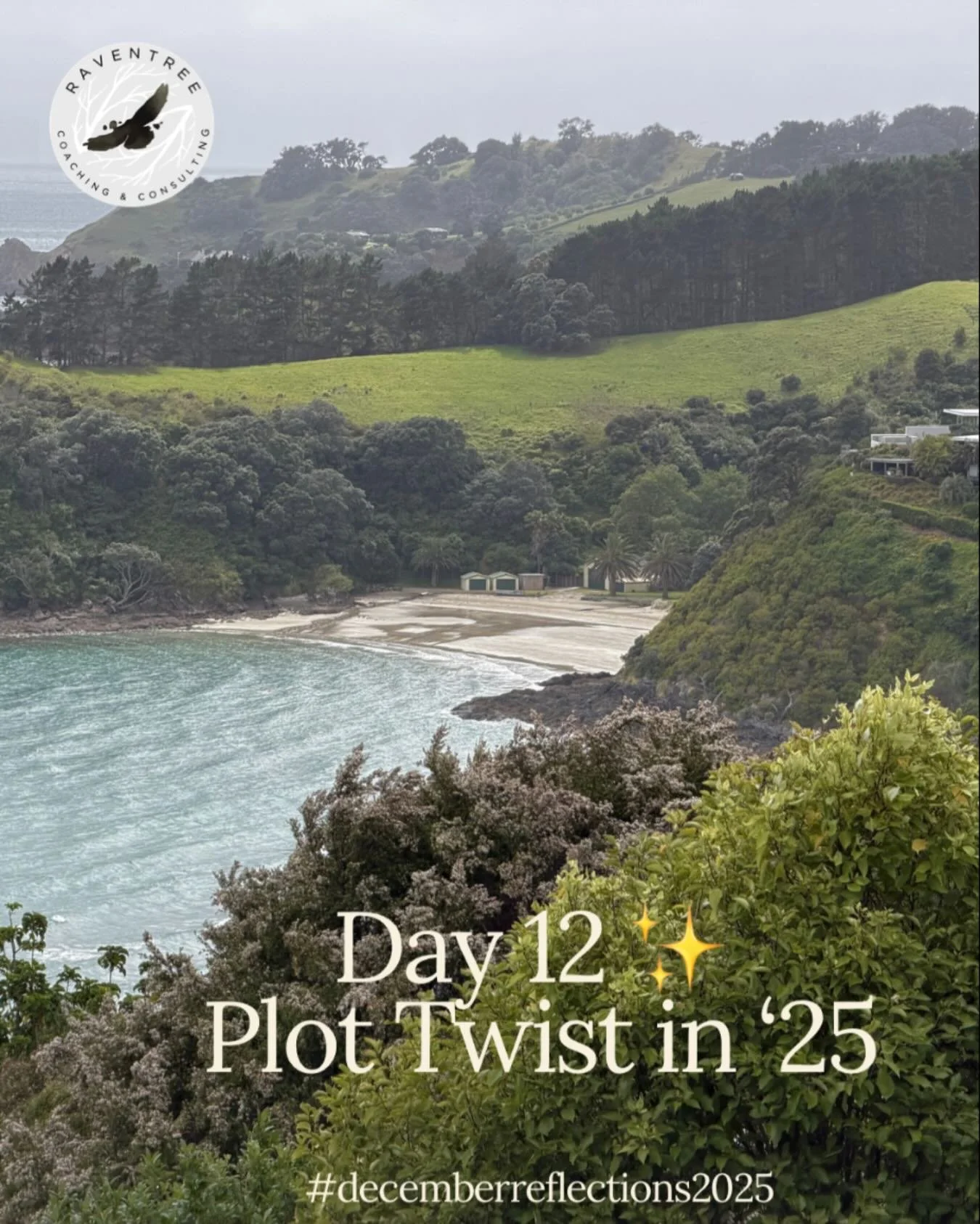 Day 12 ✨ 
Plot Twist of &lsquo;25

Usually, around the month of November, I am readying to head off to Maui, to go quiet for a bit. 
This year, there was a bit of a twist in plans. 
Aotearoa New Zealand was beckoning. 
A conference. WIPCE 2025
An opp