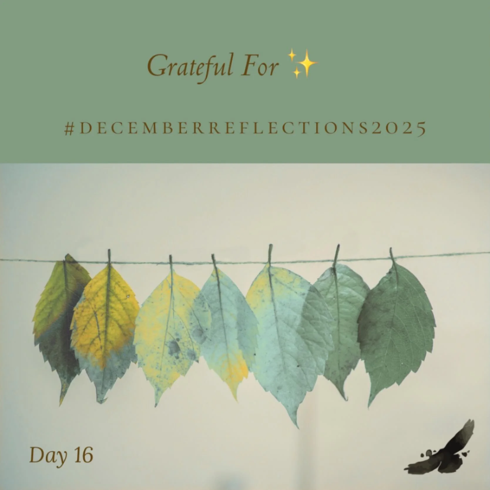Day 16 ✨
Grateful For 

So much &hellip; my kids, my partner, my grandkids, my work, my siblings, my family, my cousins, my circle of friends, my dogs, my home, my books, my health, where I live &hellip;. so grateful 🙏

#decemberreflections2025 
#gr
