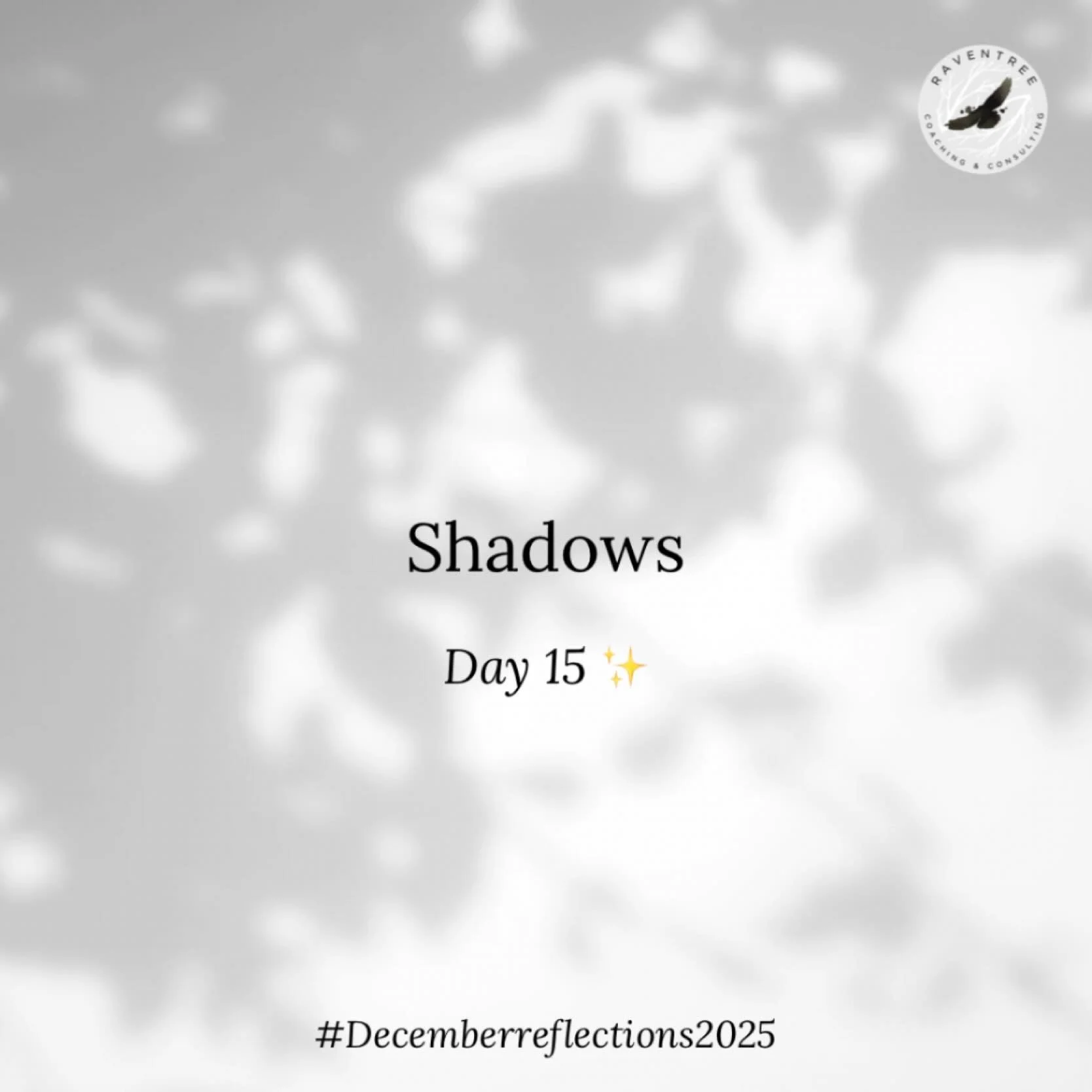 Day 15 ✨
Shadows 

This past year, in the shadows, I have been silently working on a new program addition to my website: a midlife program for women.  Last Friday, it quietly came out of the shadows. More to come about BE Inspired: a midlife program 