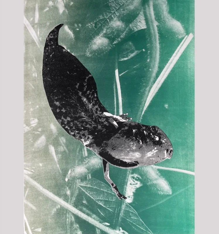 Screen Shot 2023-05-07 at 5.14.07 PM.jpg