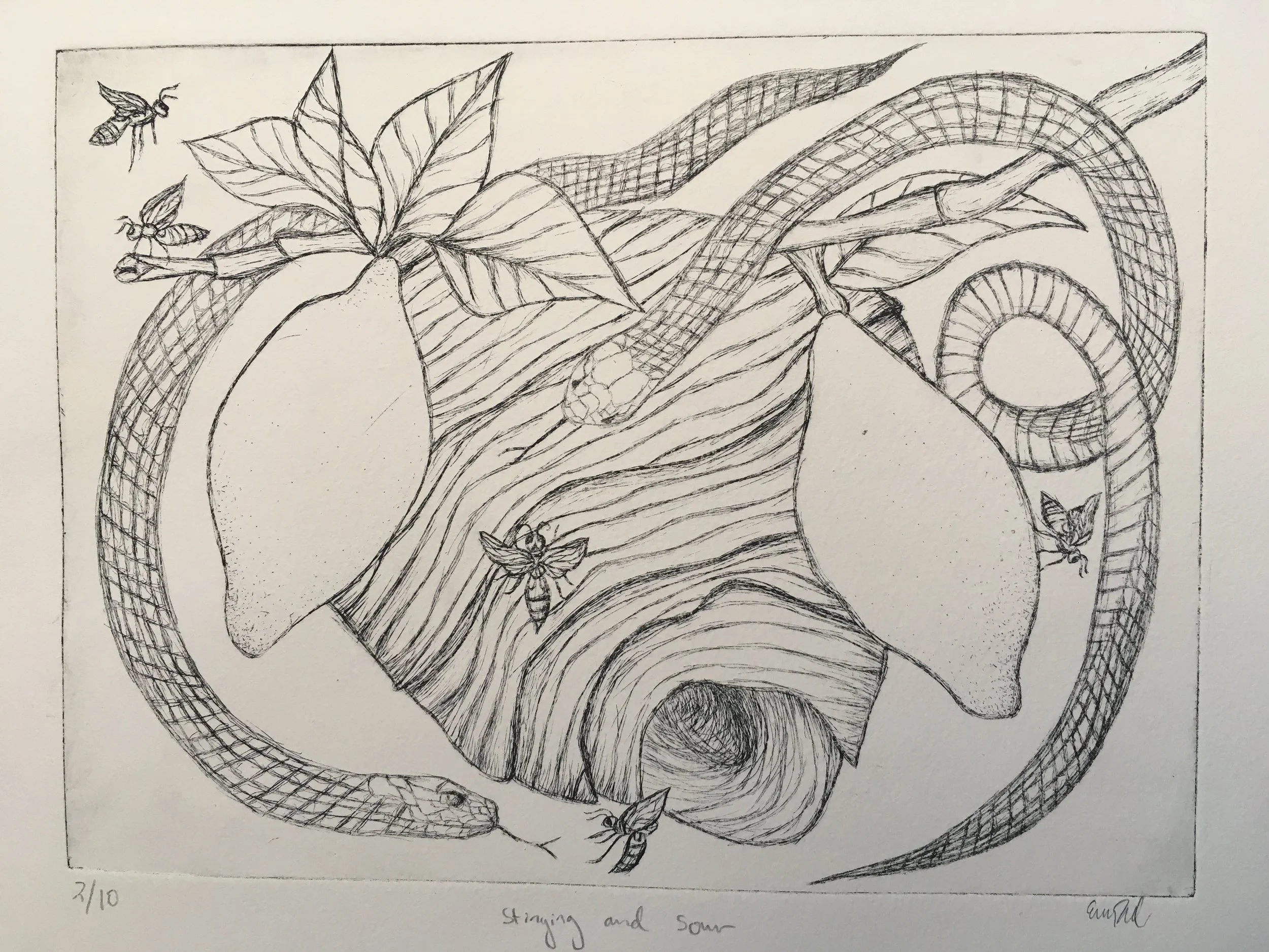 stinging and sour.JPG