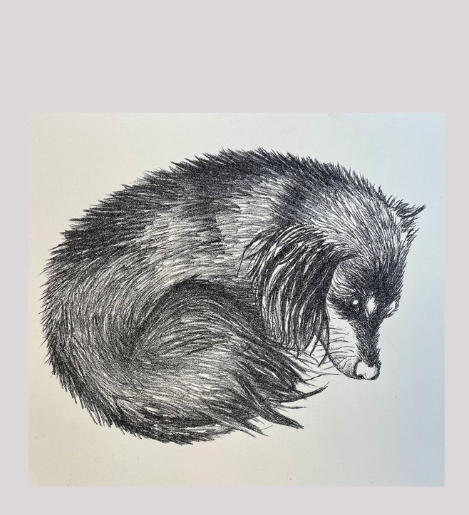 Screen Shot 2023-05-07 at 5.09.41 PM.png