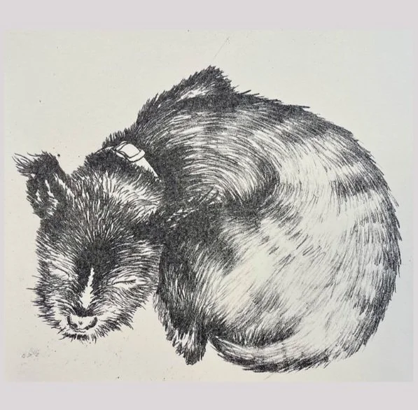 Screen Shot 2023-05-07 at 5.06.09 PM.jpg