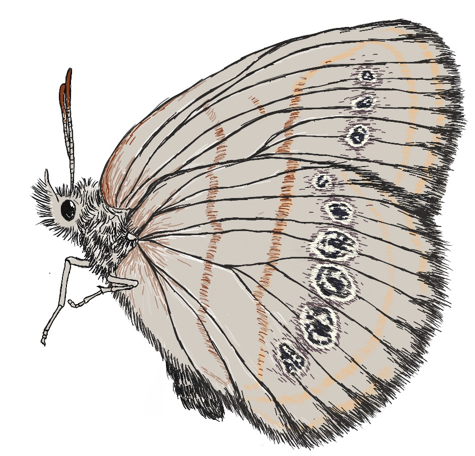 Screen Shot 2022-05-19 at 3.08.07 PM.png