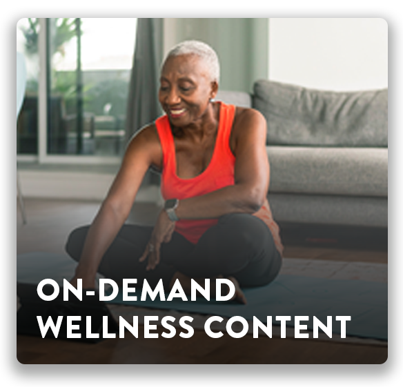 Enjoy On Demand Wellness Content for Employees to Access Through our Platform and App