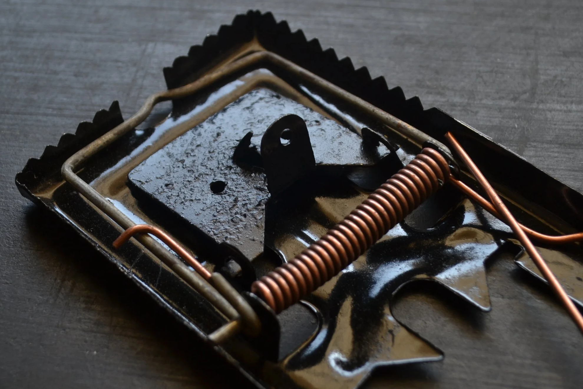 metal-mousetrap-on-black-surface-2026-03-09-03-23-17-utc.png