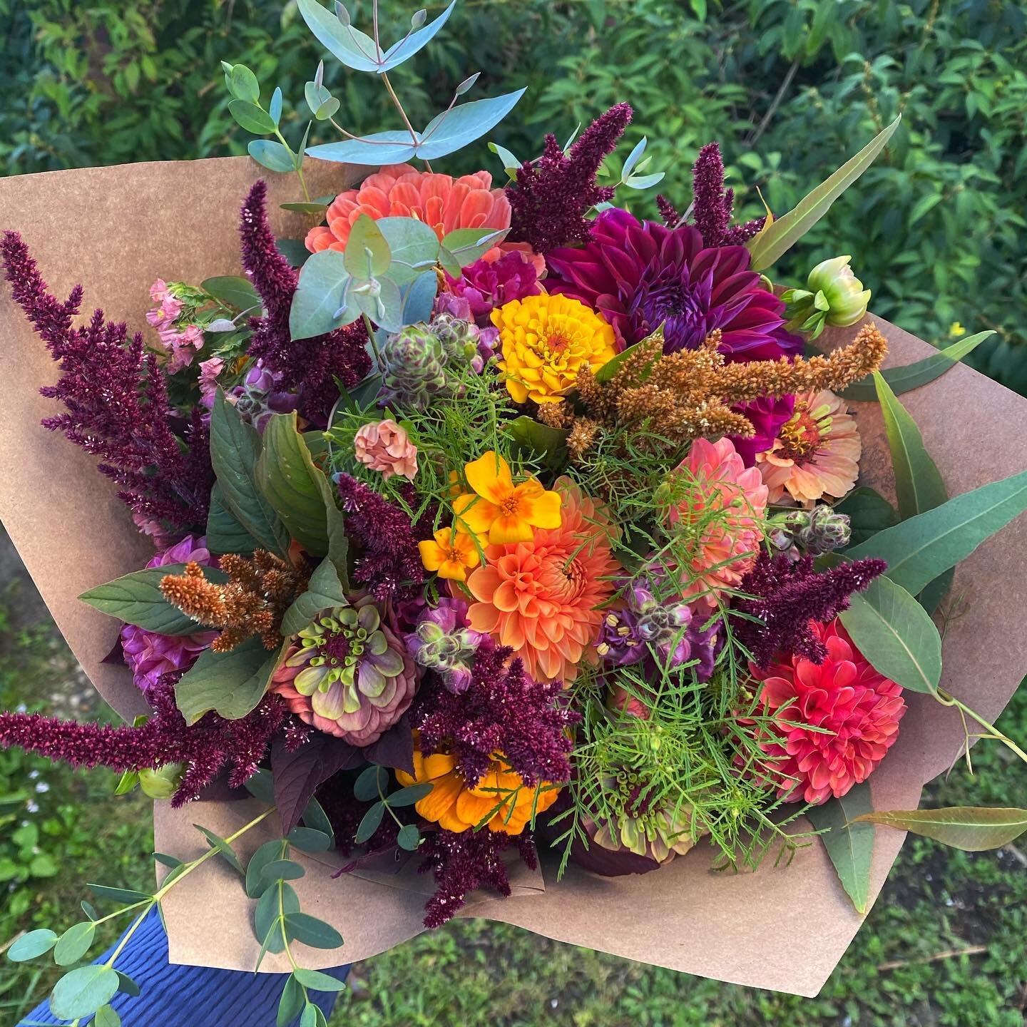 🍂🍁🎃💐

#autumncolors #autumnbouquet #autumnflowers #autumnal #localflowers #seasonalflowers #flowerfarmer #flowerfarm #dahlias #amaranth