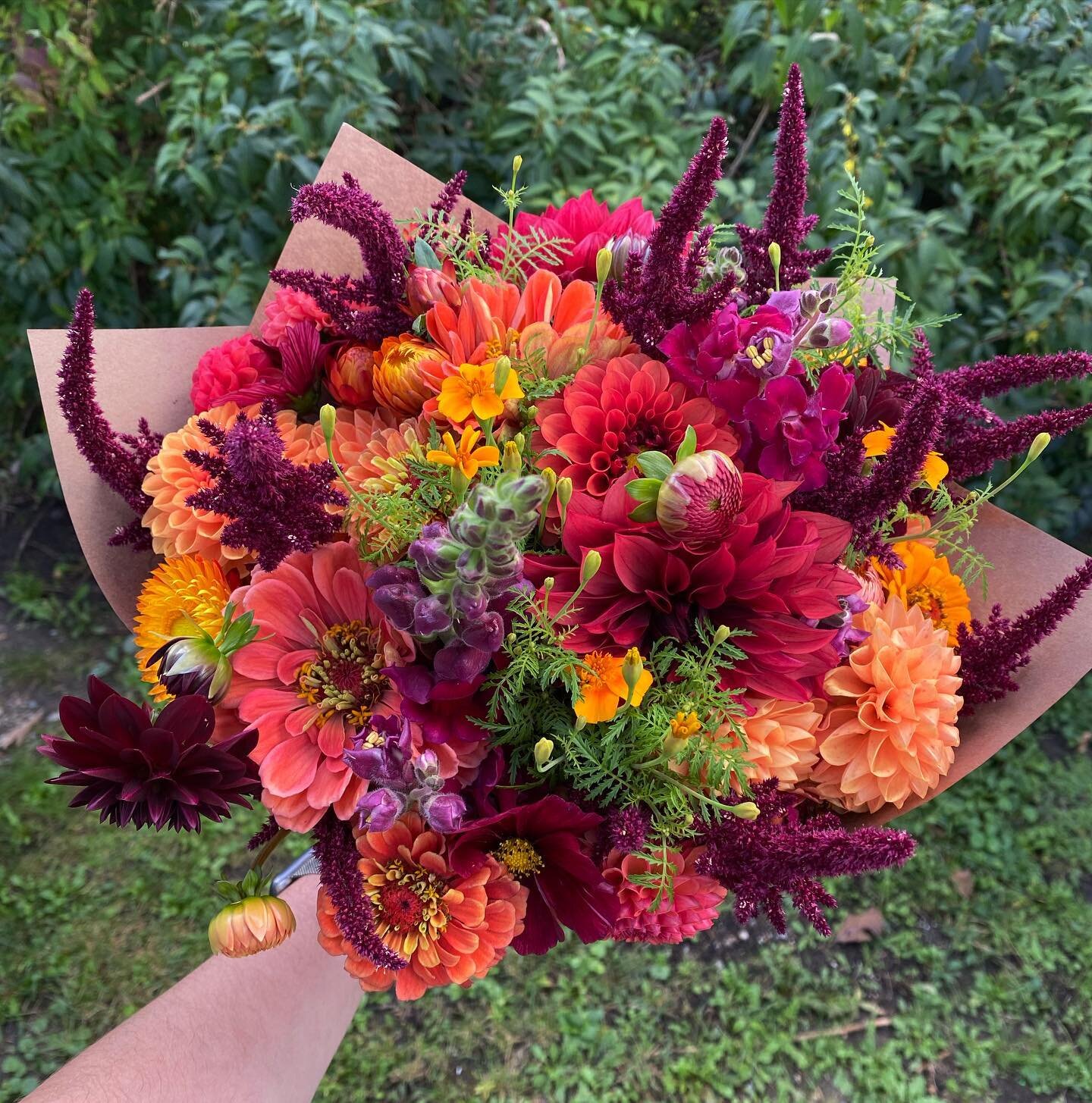 💐🍁🍂🧡

#autumncolors #autumnbouquet #autumnflowers #autumnal #localflowers #seasonalflowers #flowerfarmer #flowerfarm #dahlias #amaranth