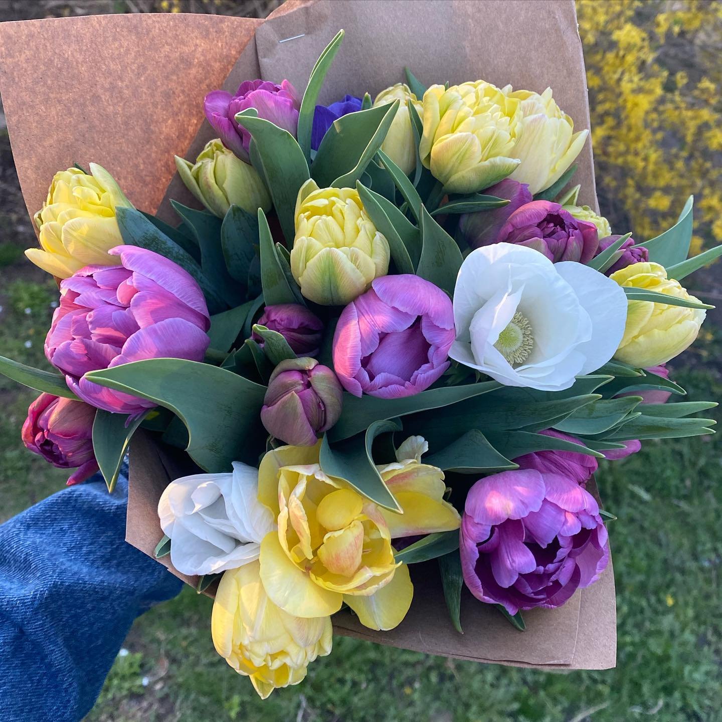 I love spring flowers so much ☺️💐

#flowerfarm #flowerfarmer #flowerfarming #tulips #localflowers #localblooms #seasonalflowers #springflowers #anemone