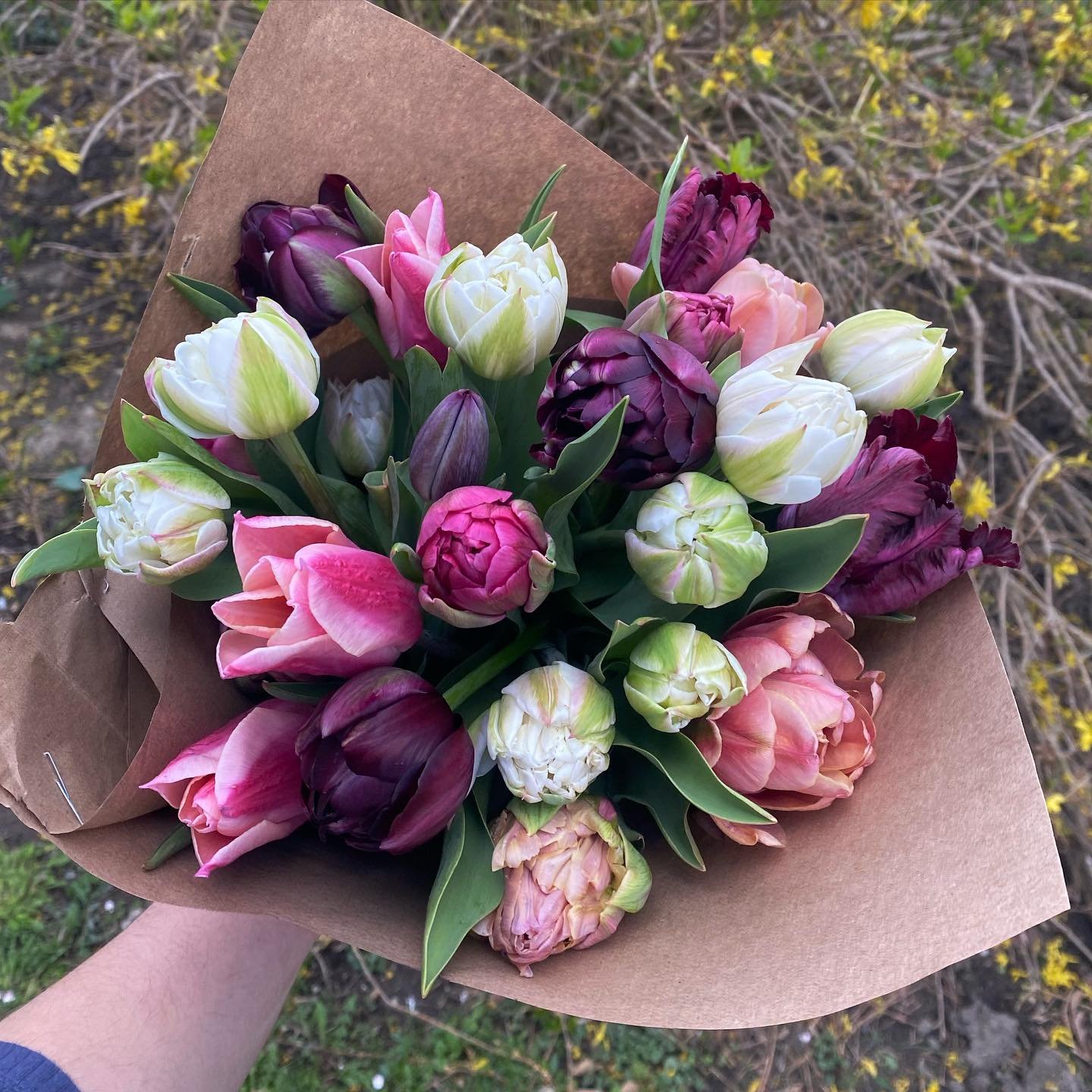 💐☺️

#flowerfarm #flowerfarmer #flowerfarming #tulips #localflowers #localblooms #seasonalflowers #springflowers #anemone