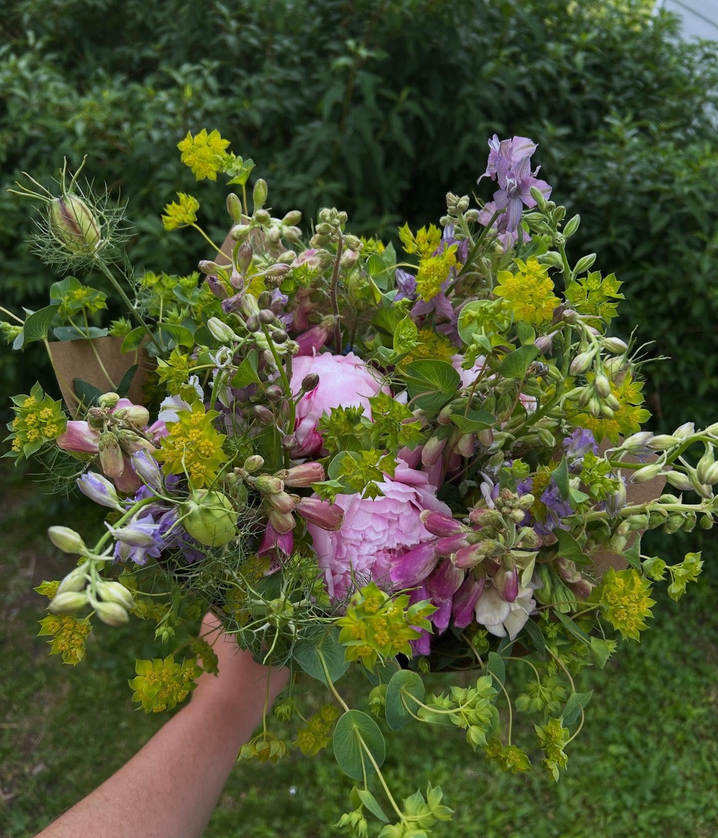Last of the foxgloves 💕