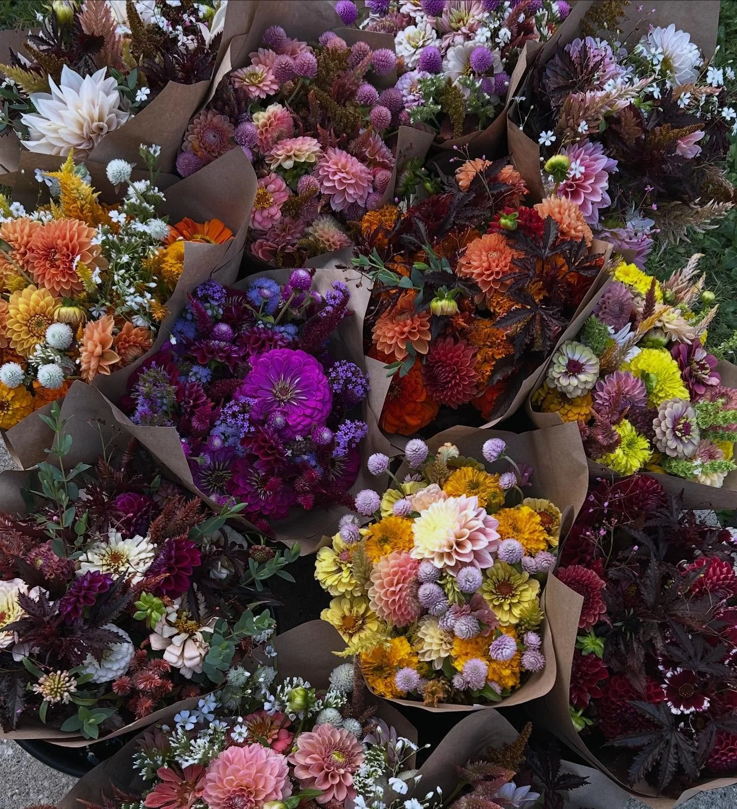 Second to last week of the autumn bouquet subscription 😍💕💐