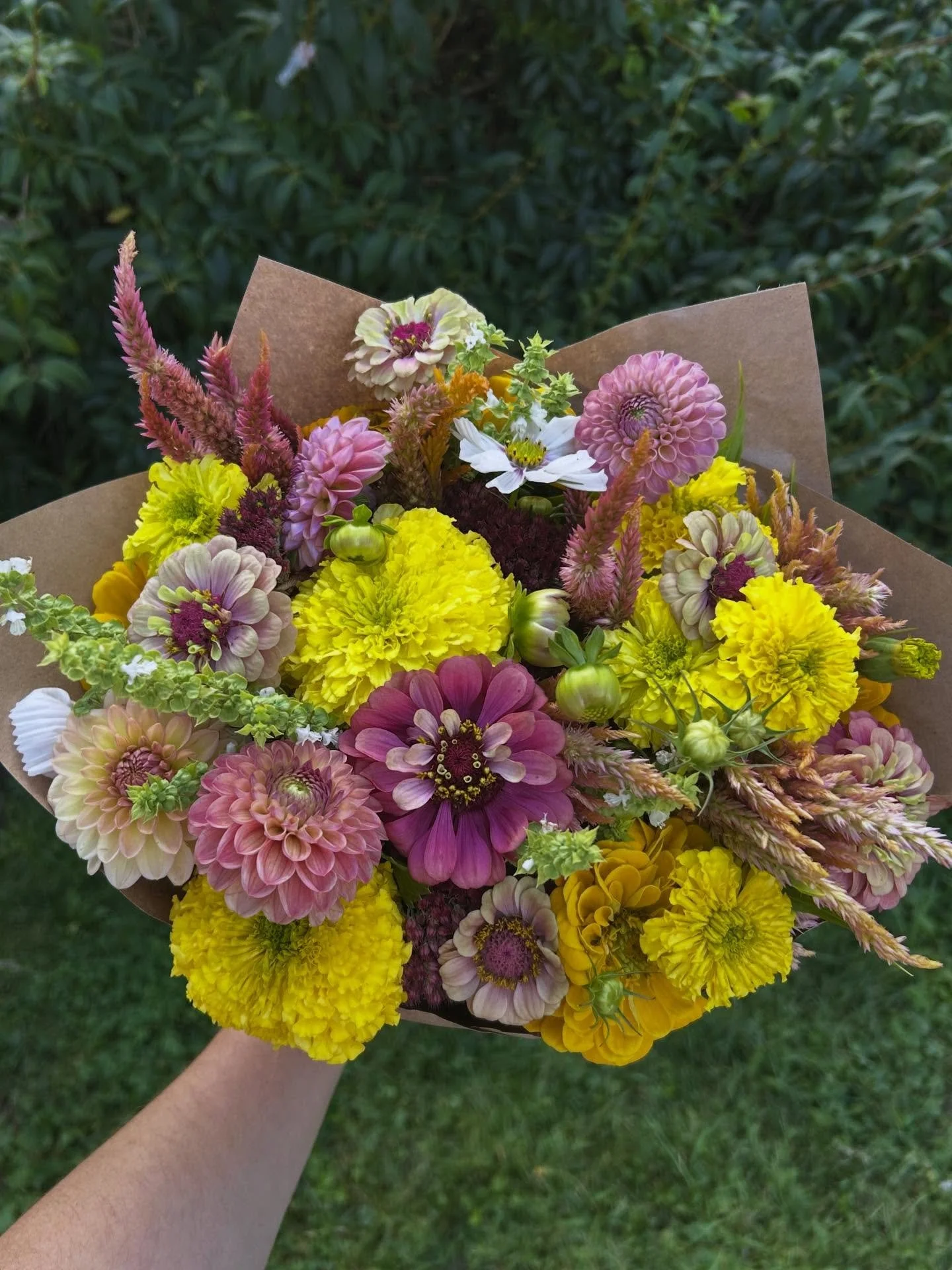 🍋🍓💐💕